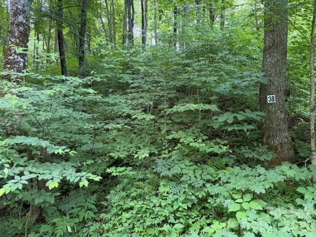 Lot 38 Yanasa Trail