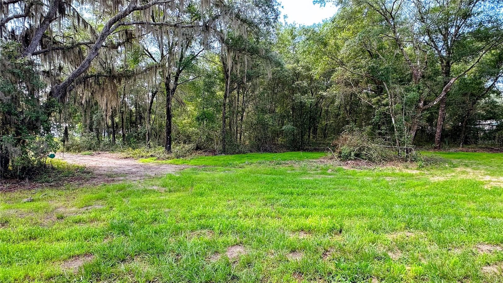Looking out of front of home - 115 BETSY ROSS PL, SATSUMA