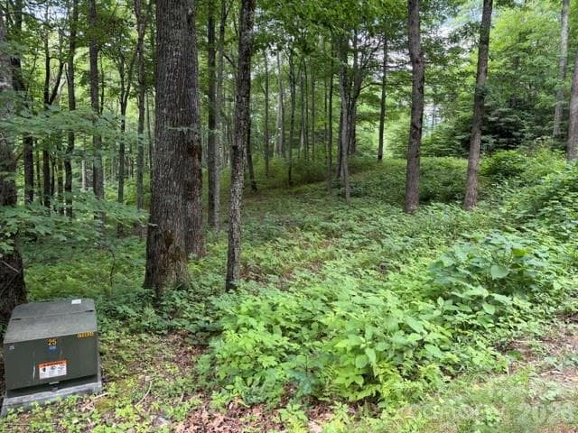 Lot at Lot 59 Odalu Trail, Maggie Valley, photo 2 of 36