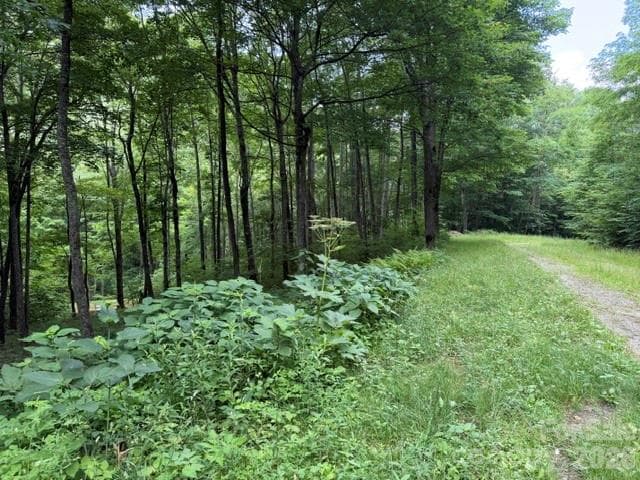 Lot at Lot 59 Odalu Trail, Maggie Valley, photo 3 of 36