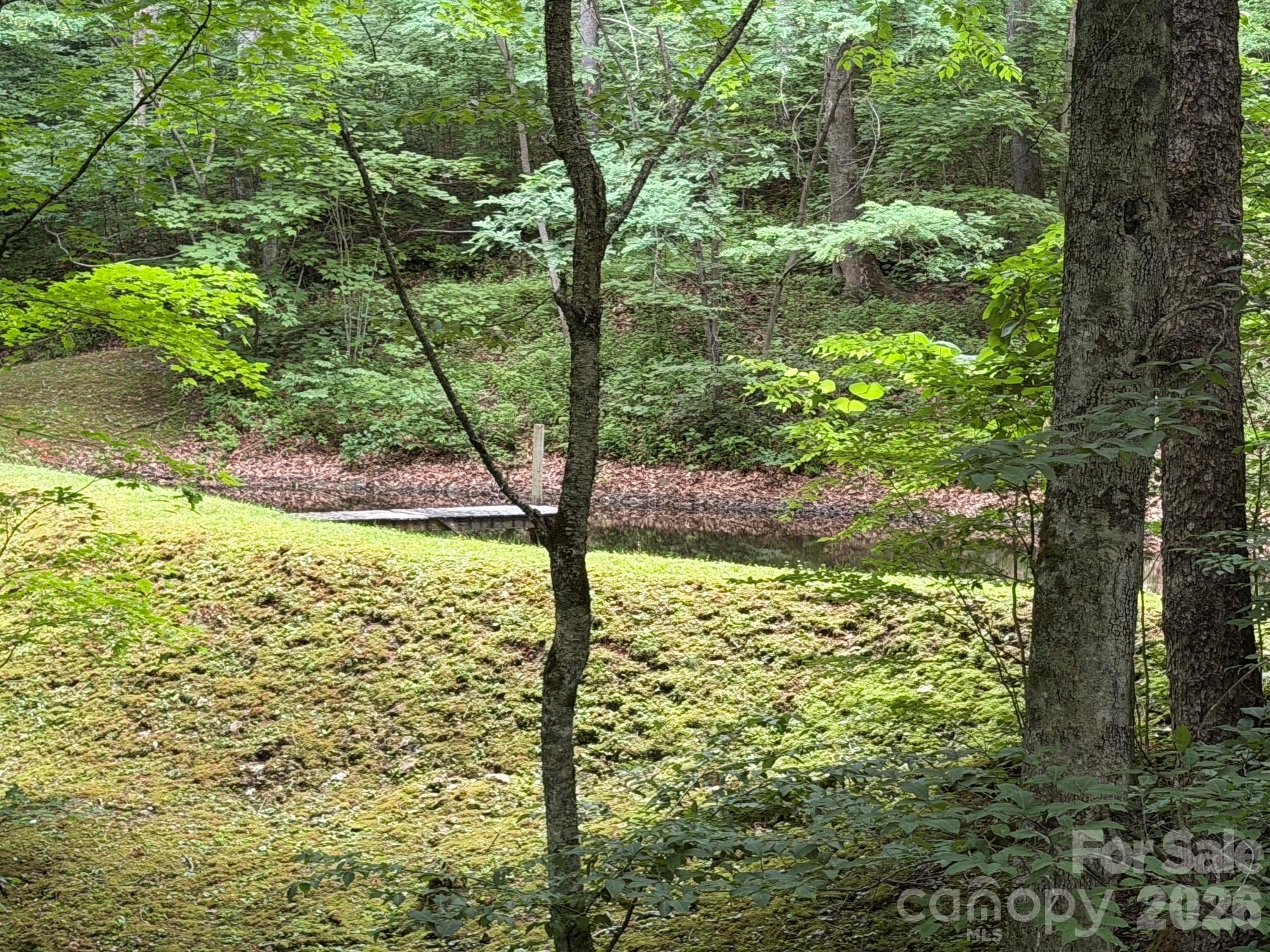 Lot at Lot 59 Odalu Trail, Maggie Valley, photo 16 of 36