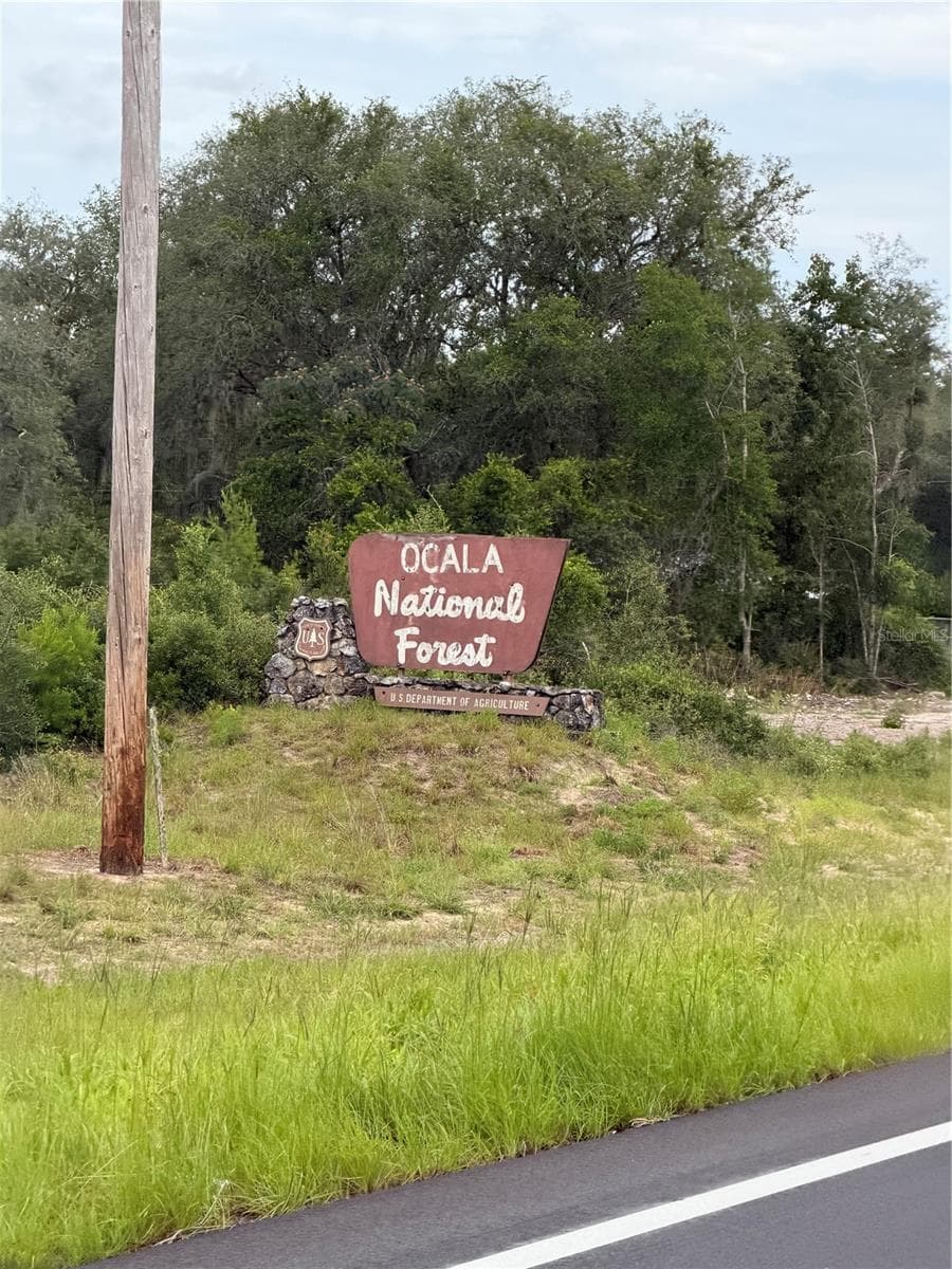 National Forest - 0 198TH LN, FORT MC COY