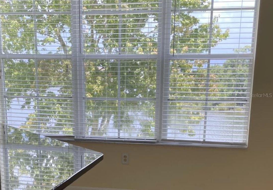 Townhouse at 2401 LEXINGTON OAK DR, BRANDON, photo 5 of 34