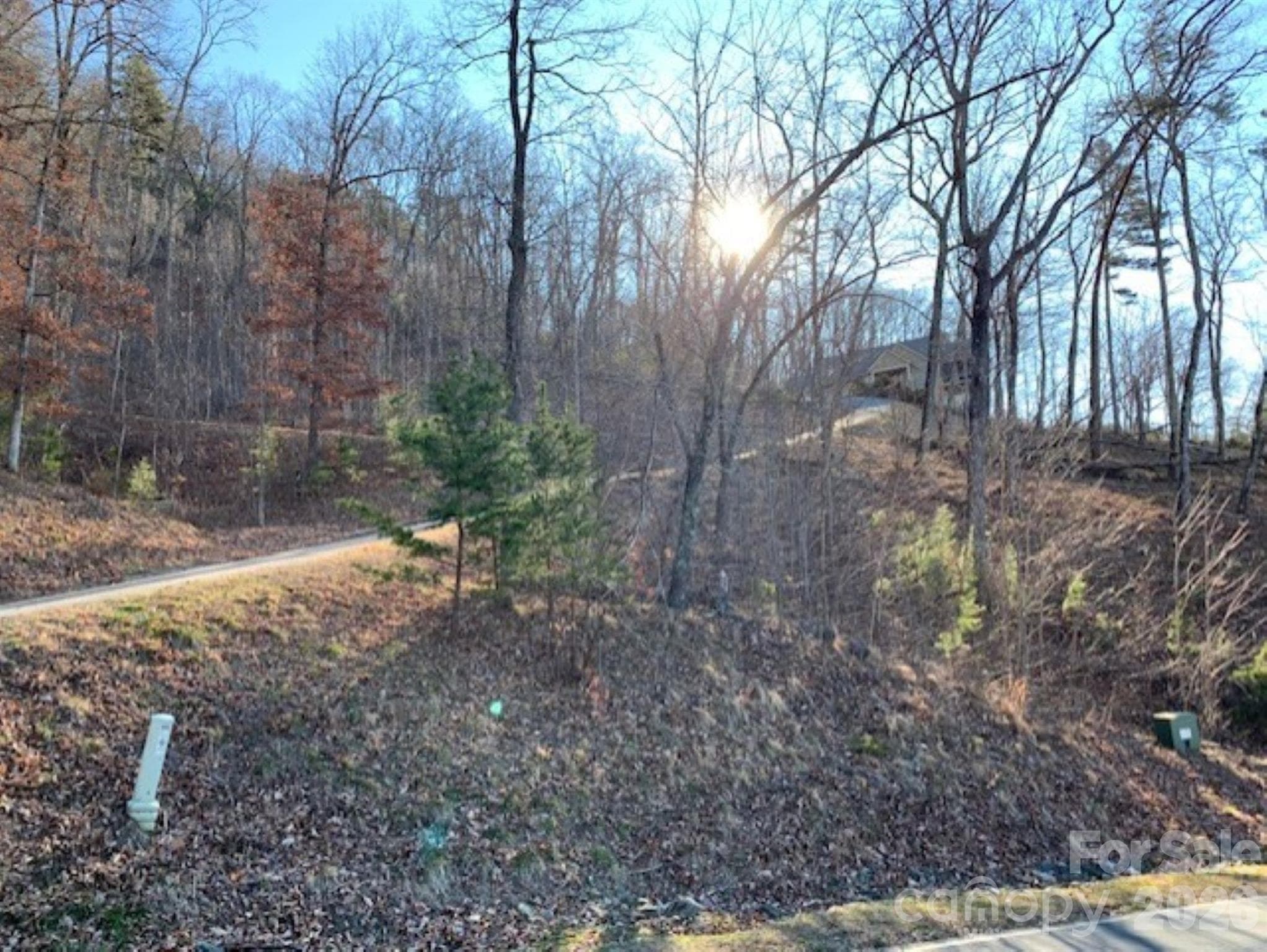 Lot at 218 Rock Ledge Drive, Lake Lure, photo 2 of 9