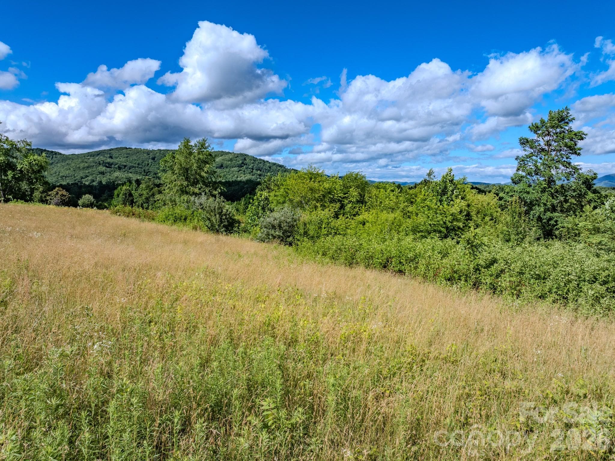 Lot at Hendersonville, photo 2 of 29