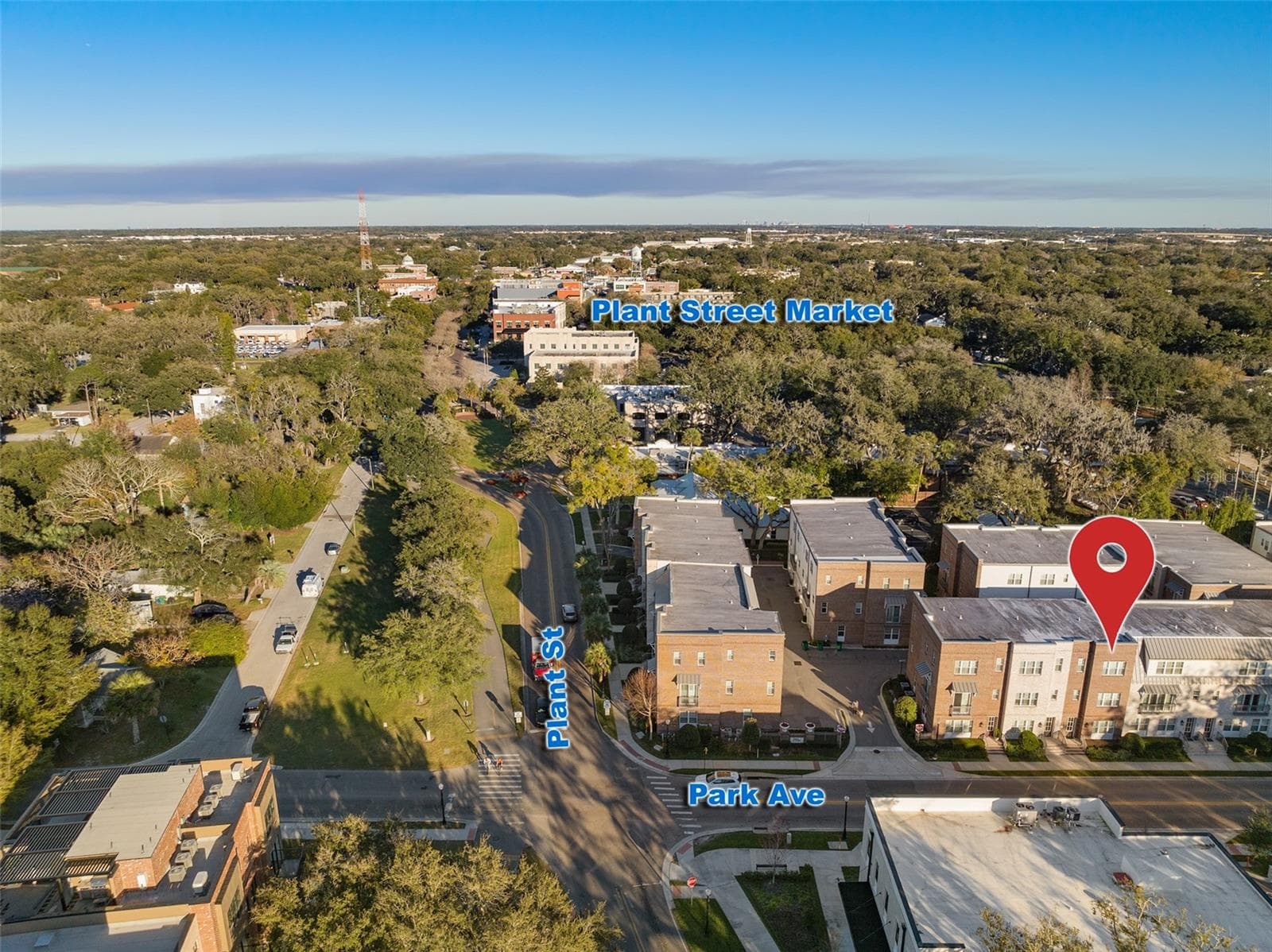 Area Overview - 129 S PARK AVE #8E, WINTER GARDEN