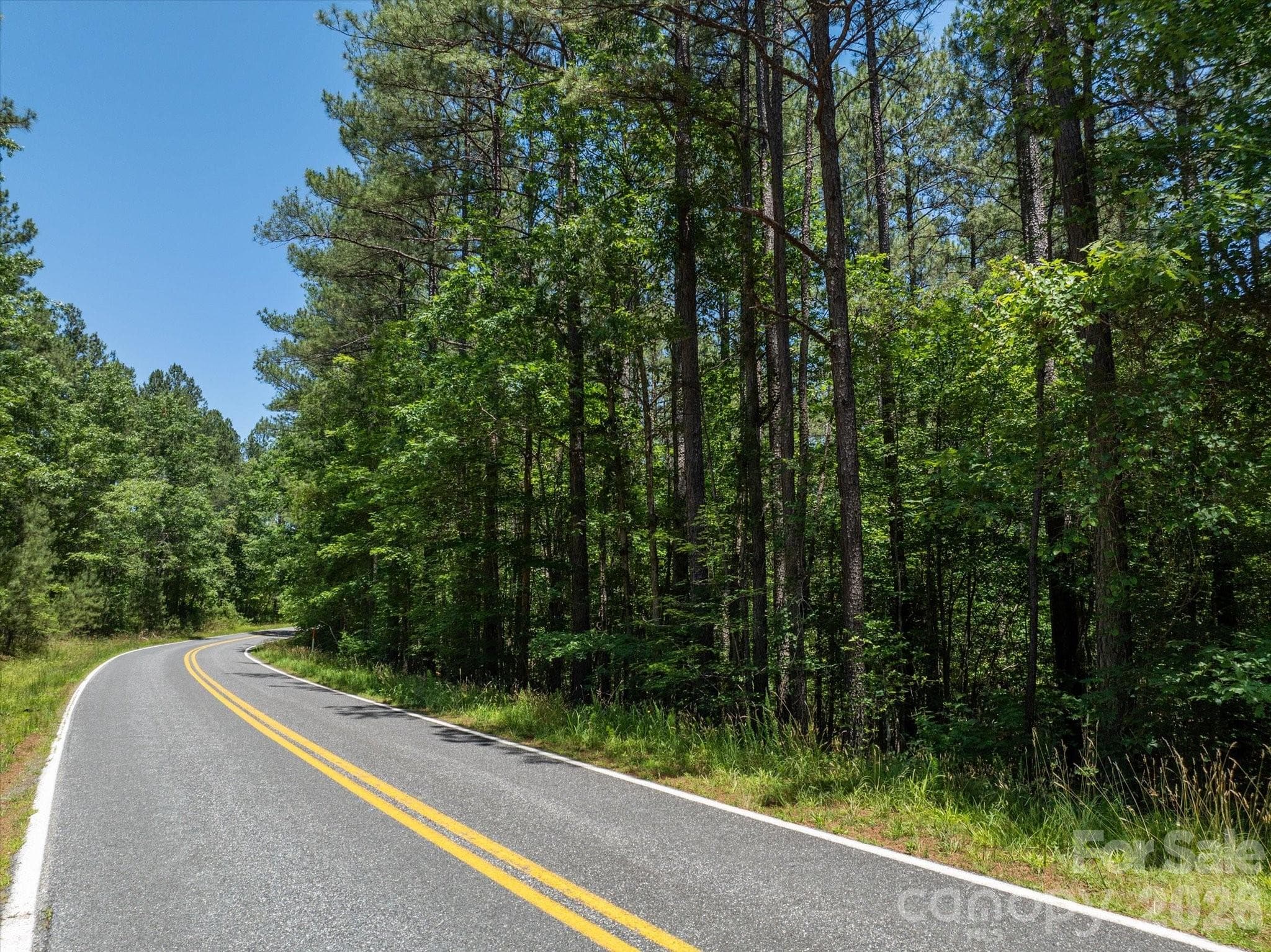 Acreage at Rutherfordton, photo 2 of 19