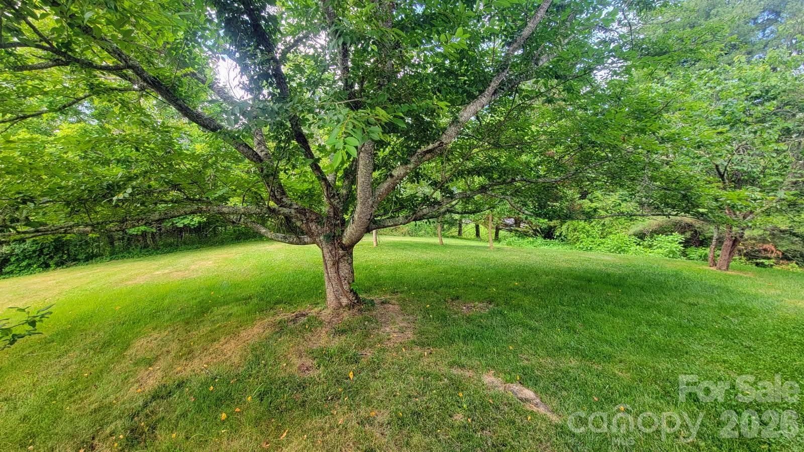 Side - 1091 WINDSWEPT RIDGE Road, Marshall