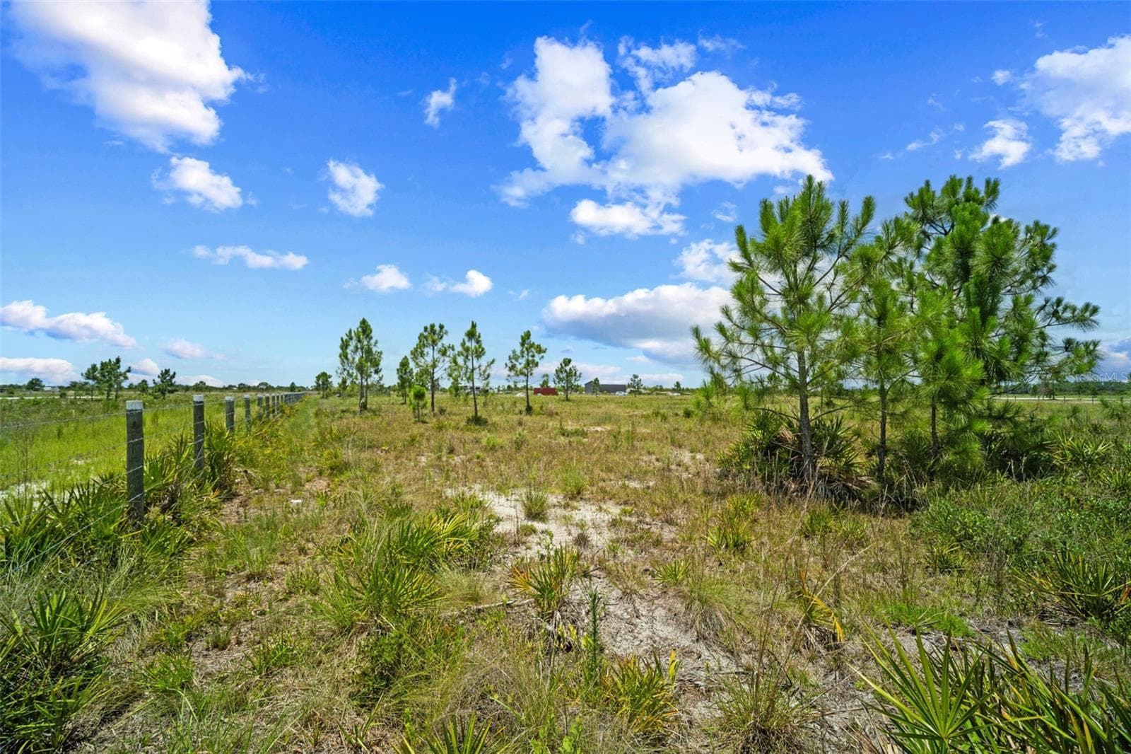 Land at 49021 BERMONT RD, PUNTA GORDA, photo 8 of 9