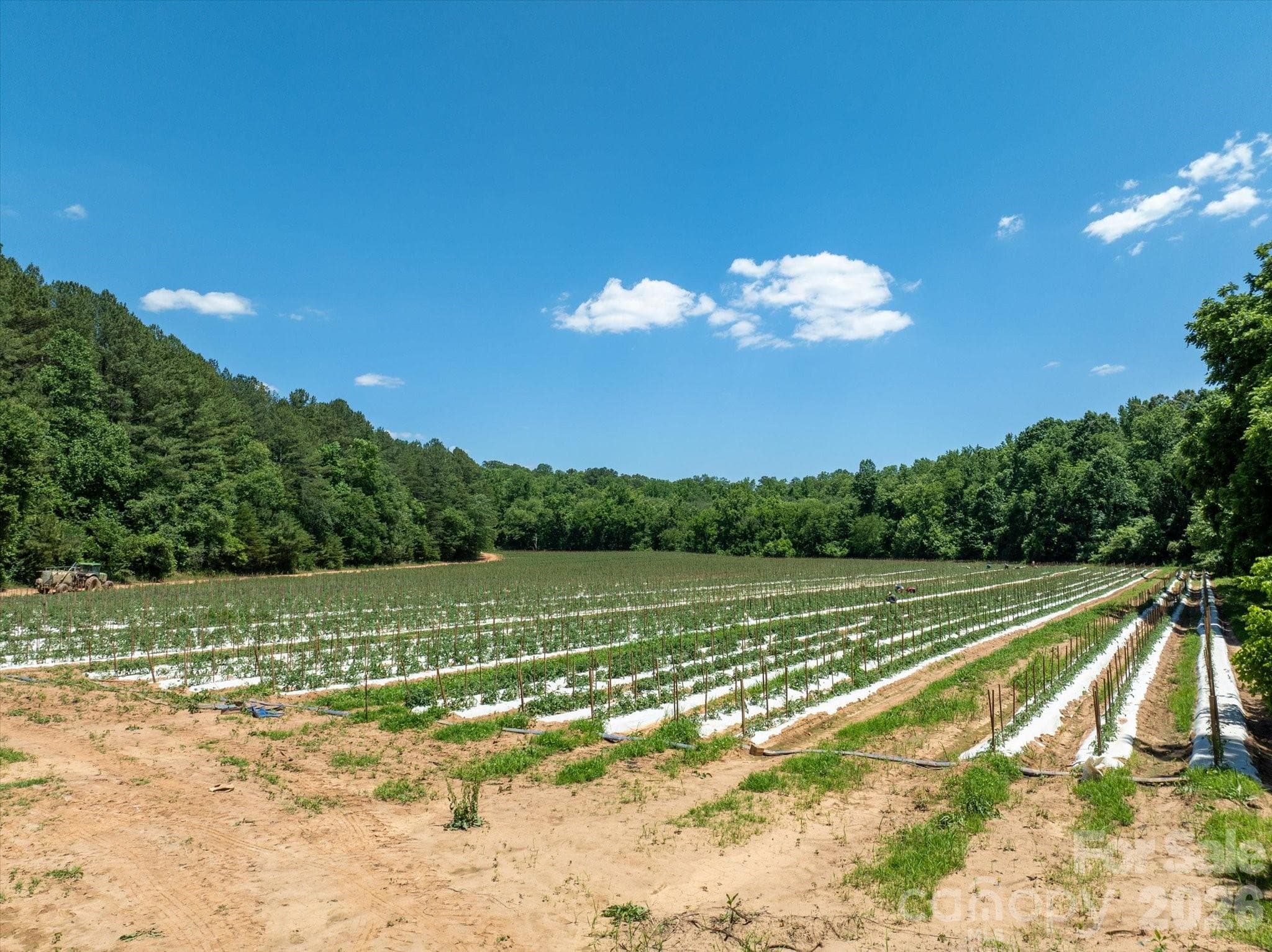 Acreage at Rutherfordton, photo 2 of 25