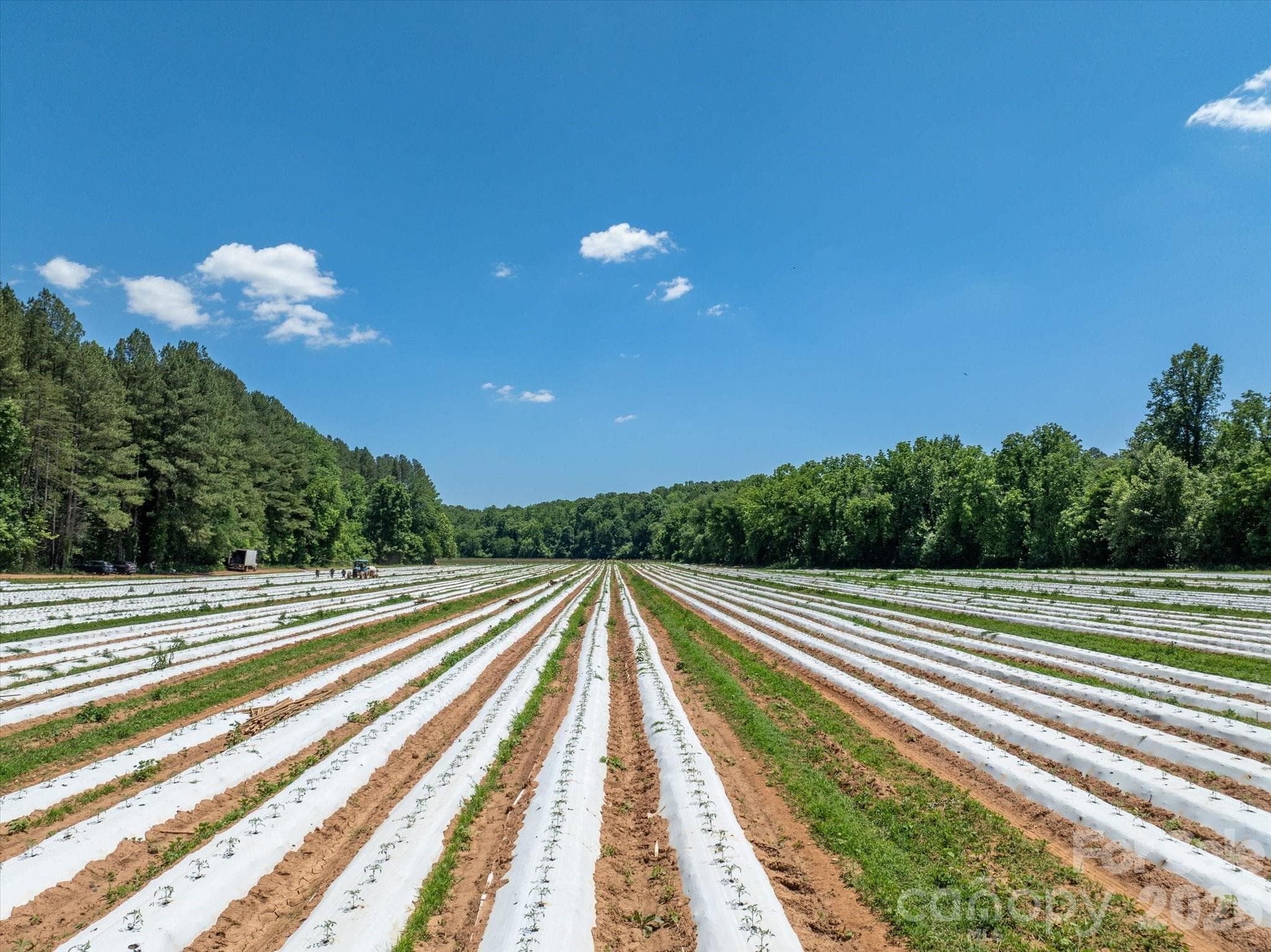 Acreage at Rutherfordton, photo 3 of 25