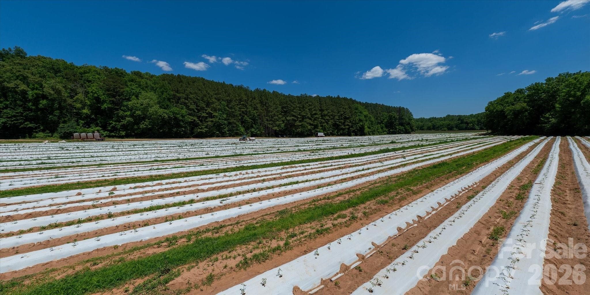 Acreage at Rutherfordton, photo 4 of 25