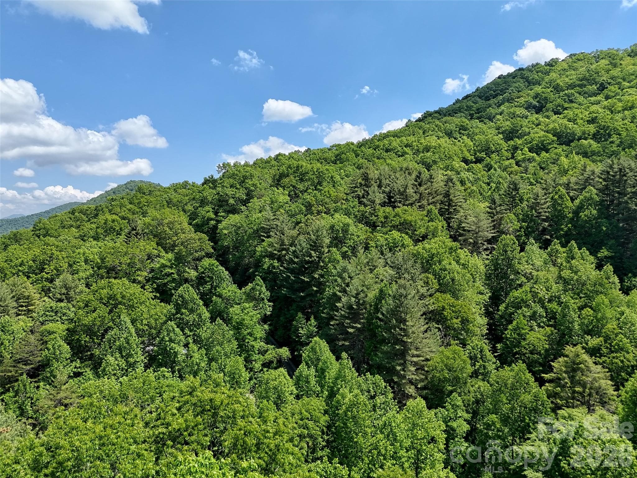 Lot at 000 Enchanted Forest Drive, Sylva, photo 8 of 11