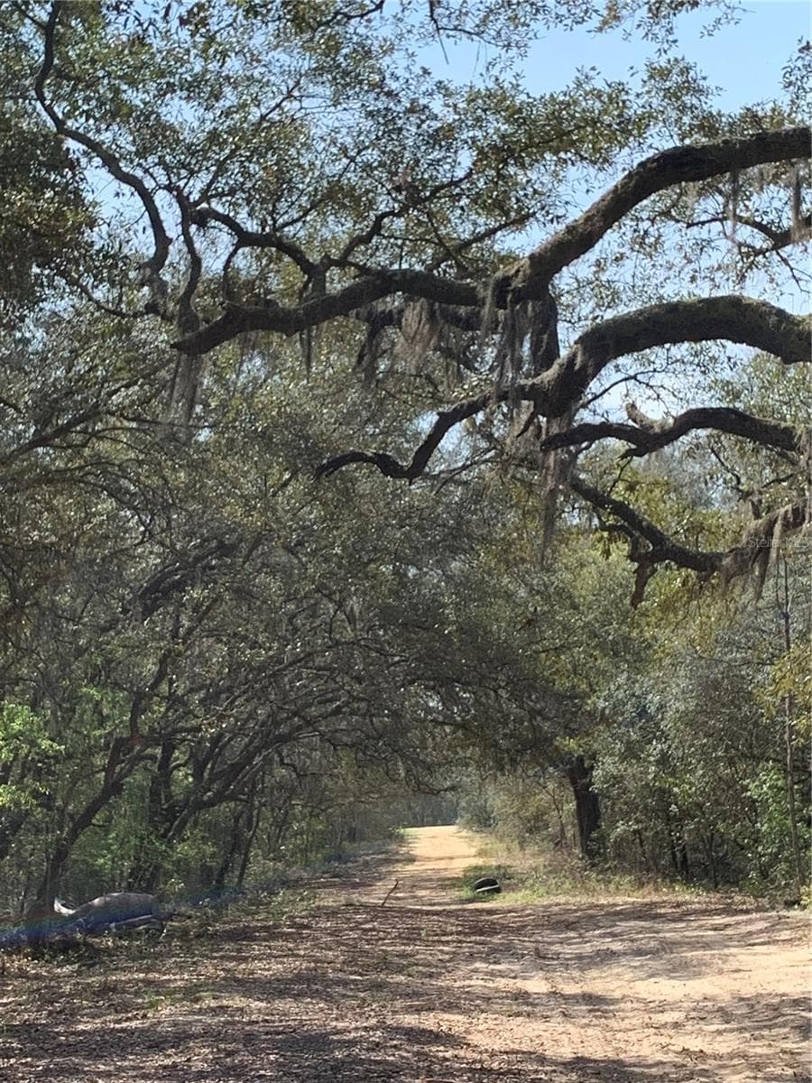 Land at 132 SW 52ND AVE, INTERLACHEN, photo 2 of 11