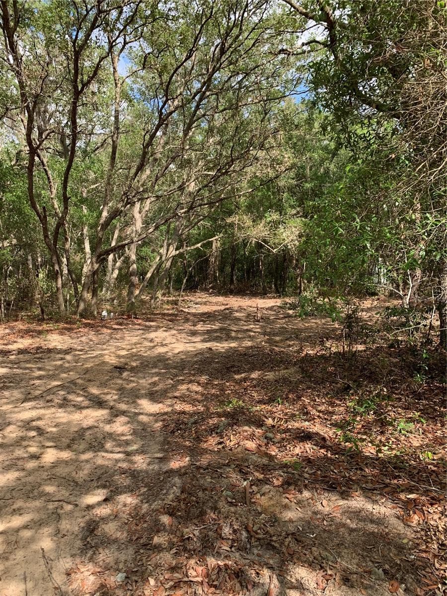 Land at 132 SW 52ND AVE, INTERLACHEN, photo 3 of 11