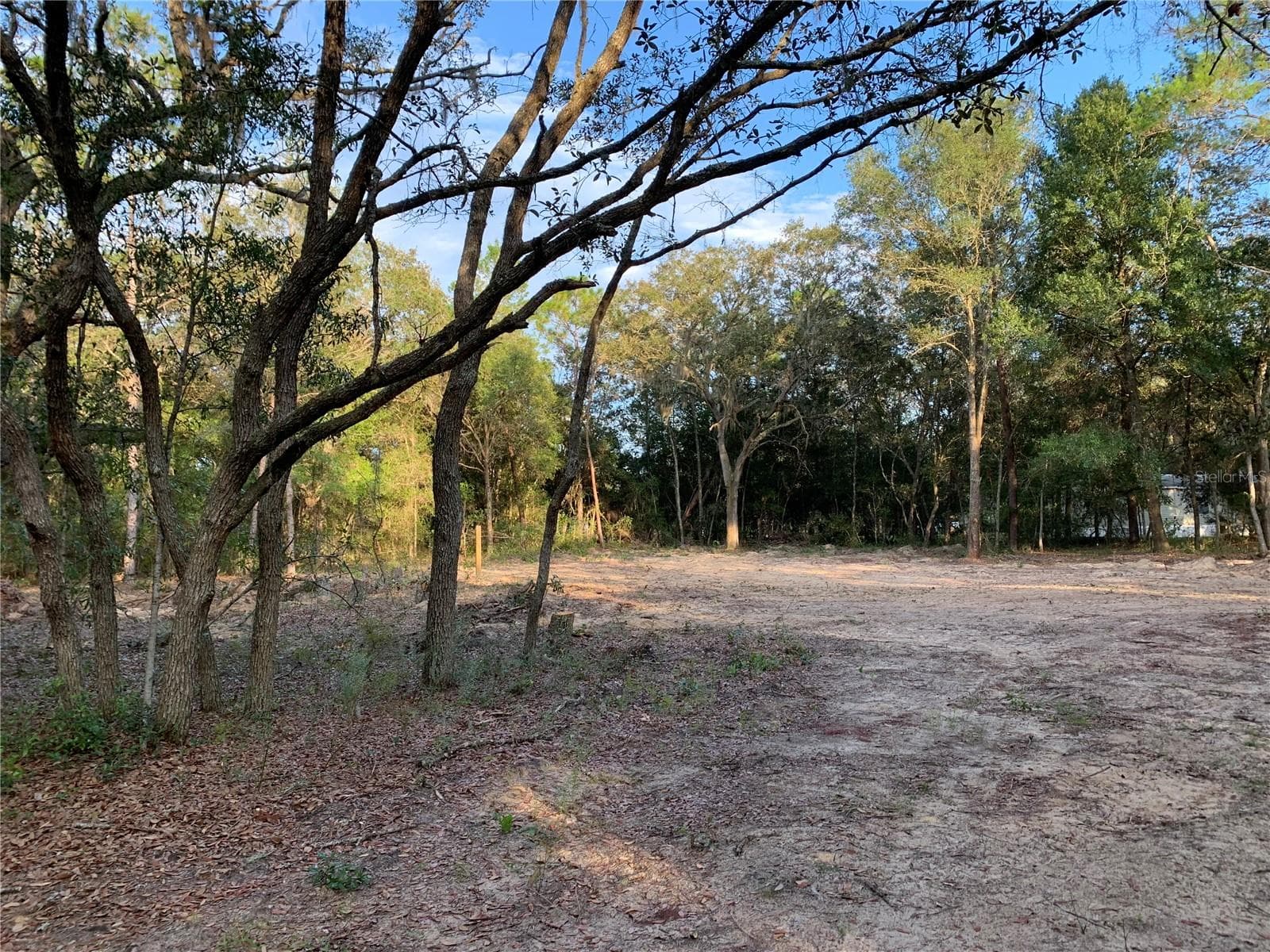 Land at 132 SW 52ND AVE, INTERLACHEN, photo 6 of 11