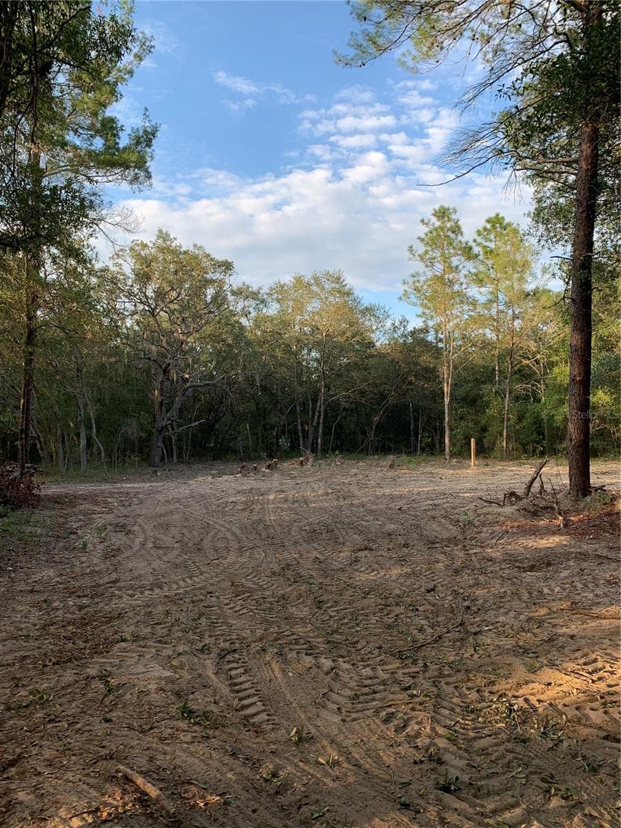 Land at 132 SW 52ND AVE, INTERLACHEN, photo 7 of 11
