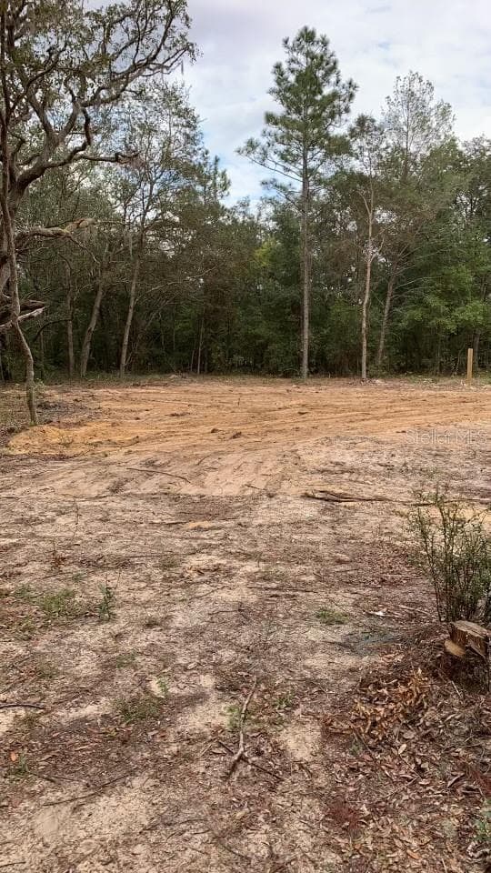 Land at 132 SW 52ND AVE, INTERLACHEN, photo 9 of 11