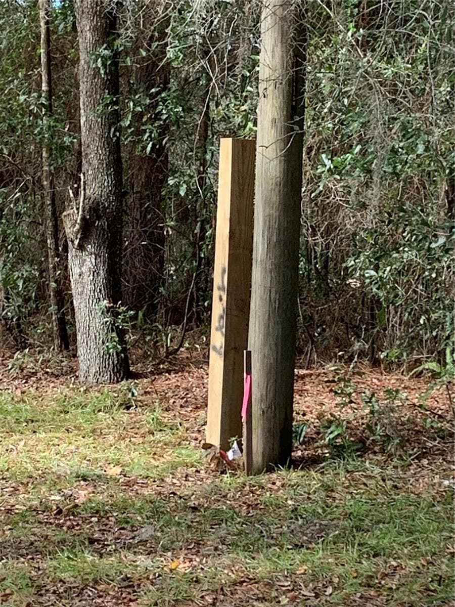 Land at 132 SW 52ND AVE, INTERLACHEN, photo 11 of 11
