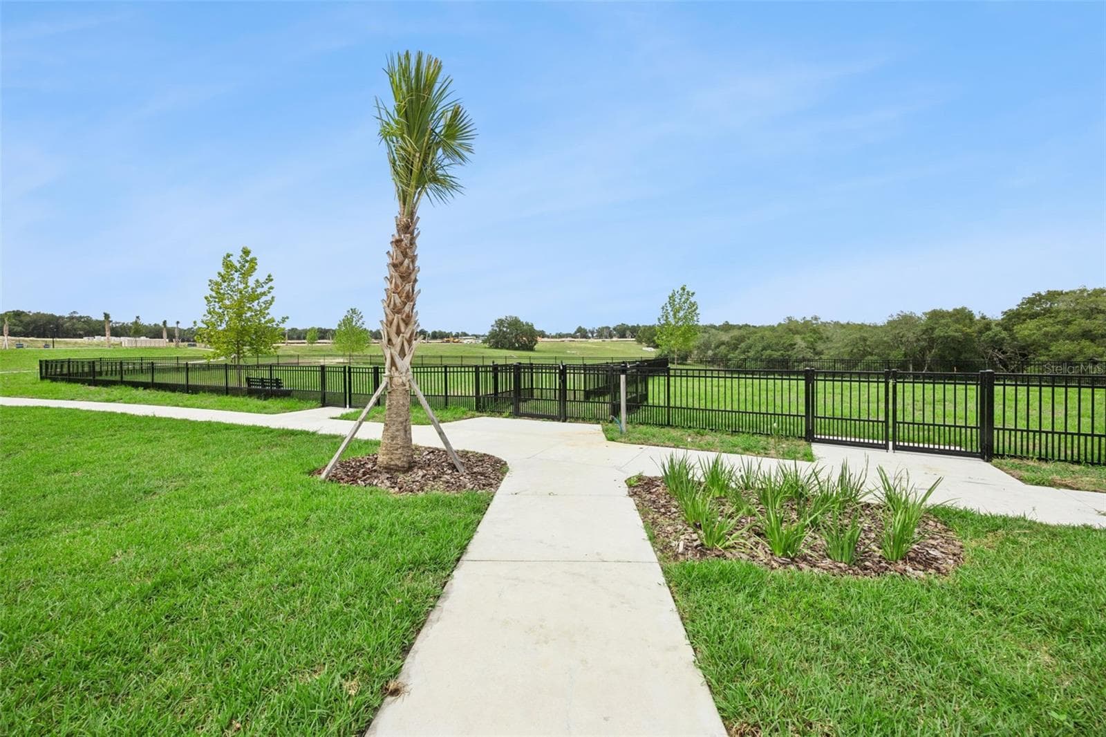 Single Family Residence at 4922 MARSHELDER ST, APOPKA, photo 22 of 23
