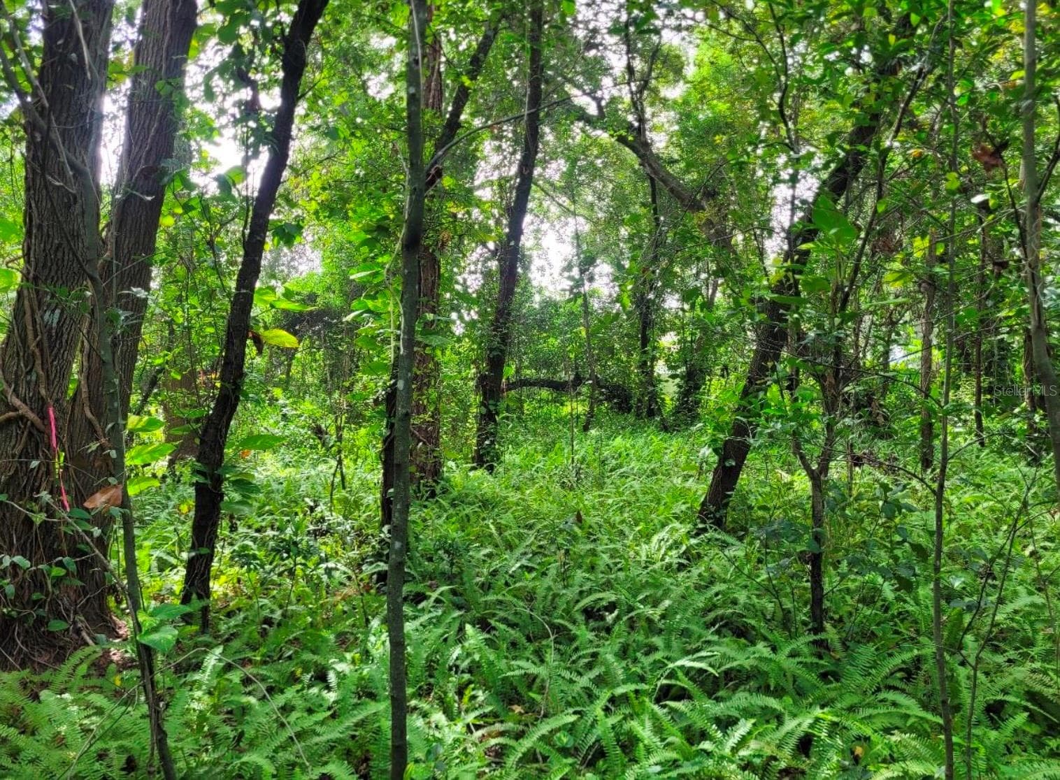 Land at CURRY FORD RD, ORLANDO, photo 5 of 15
