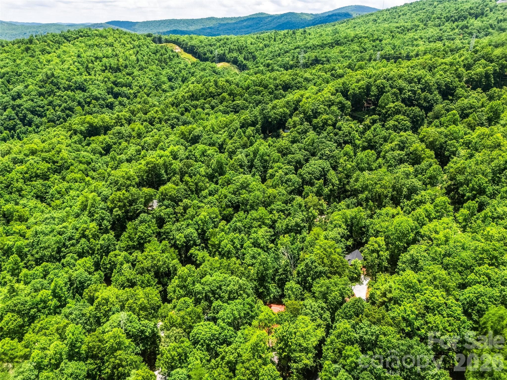 Single Family Residence at Pisgah Forest, photo 48 of 48
