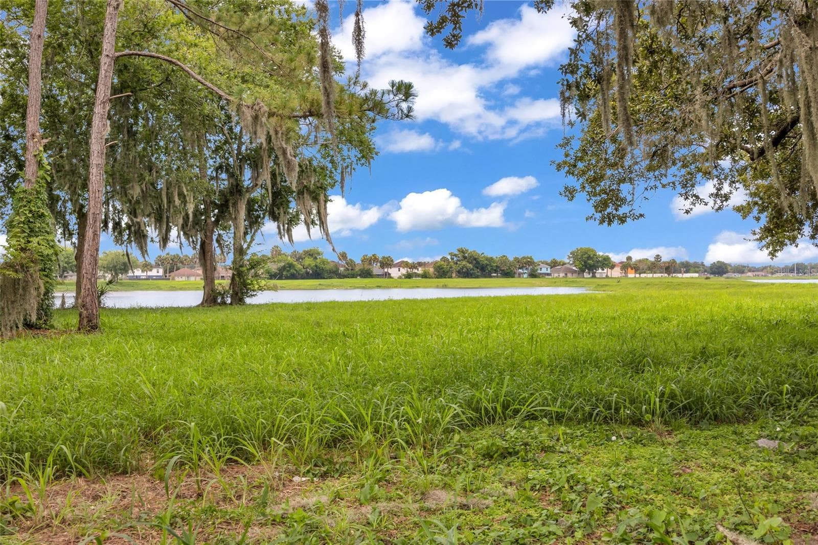Single Family Residence at 1765 ROSEBERRY LN, SANFORD, photo 5 of 40