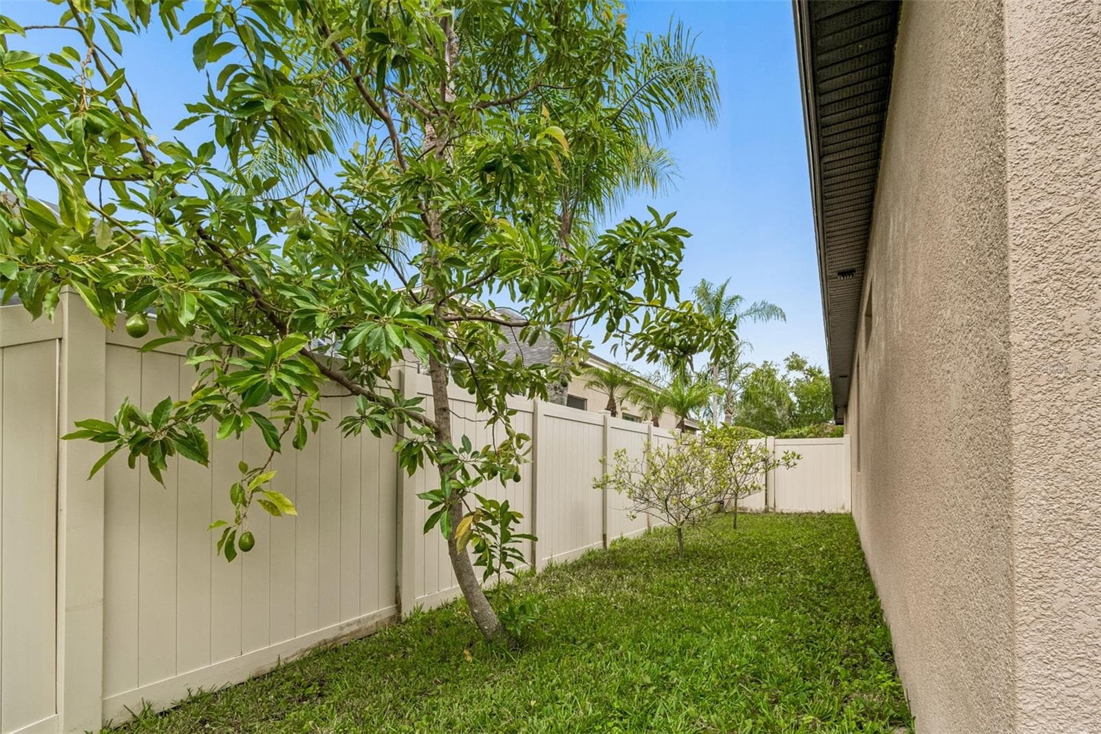 Single Family Residence at 23305 GRACEWOOD CIR, LAND O LAKES, photo 41 of 95