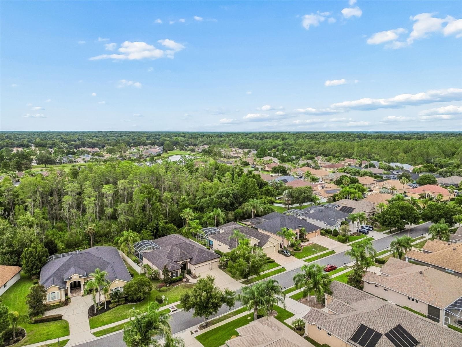 Single Family Residence at 23305 GRACEWOOD CIR, LAND O LAKES, photo 48 of 95
