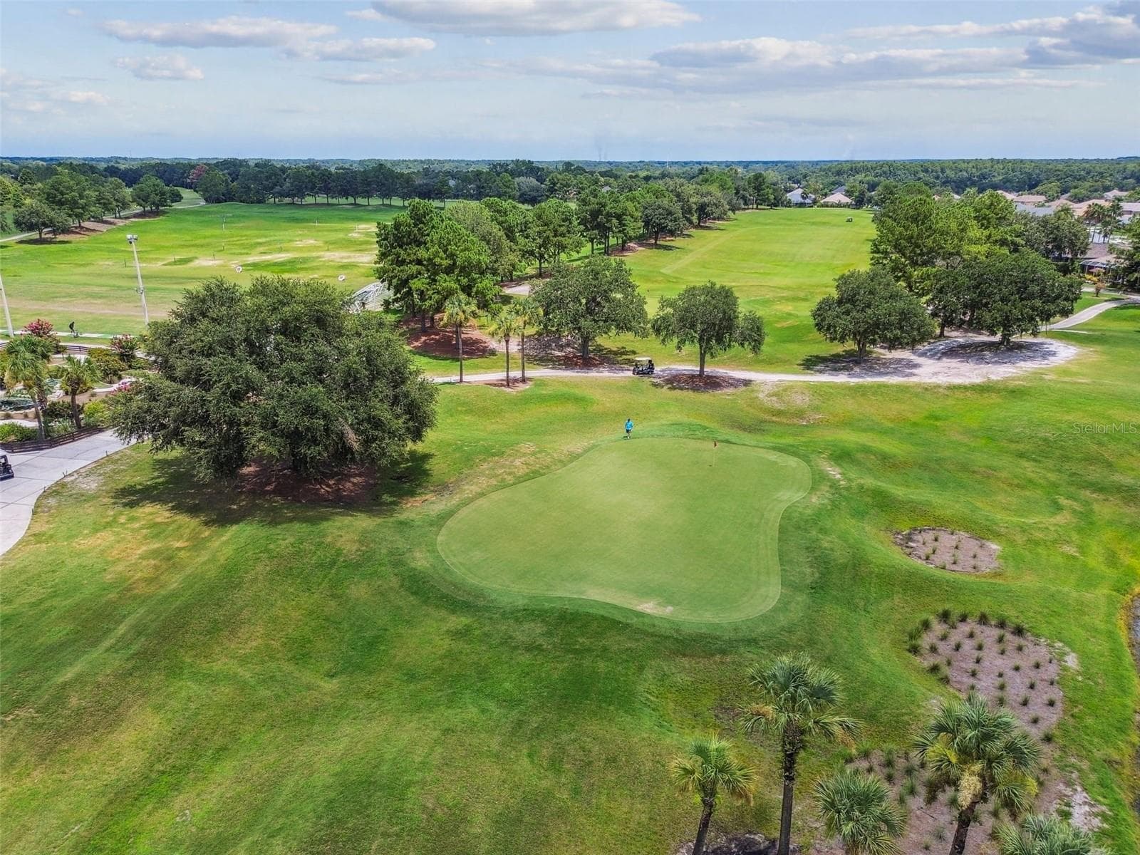 Single Family Residence at 23305 GRACEWOOD CIR, LAND O LAKES, photo 64 of 95