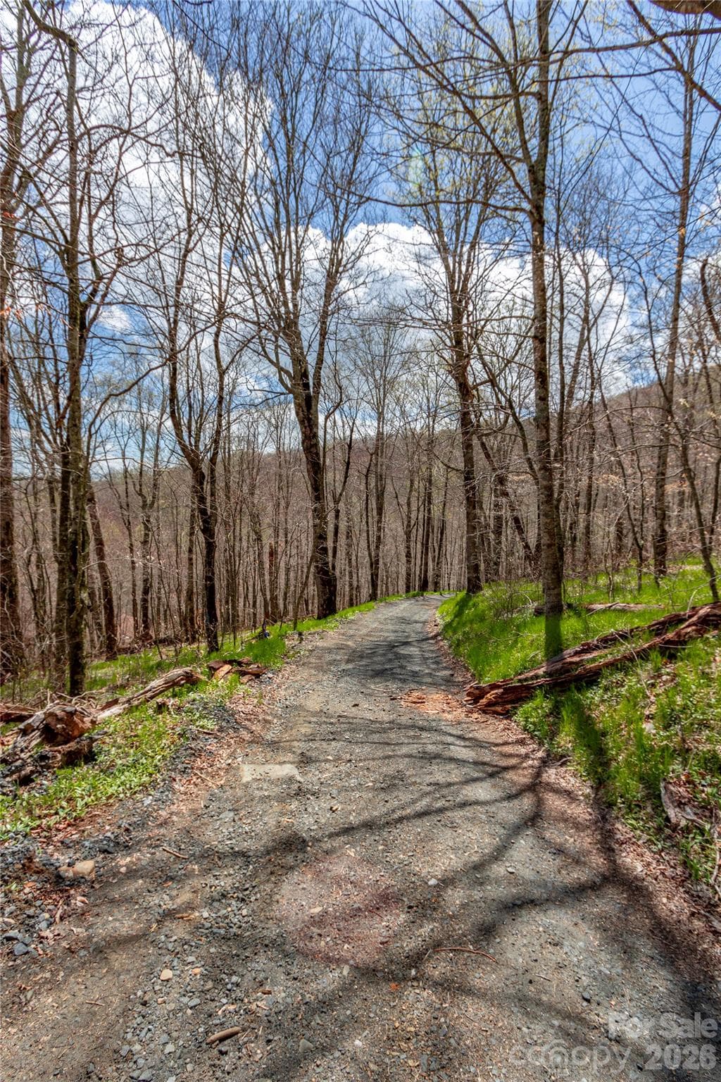 Lot at Bakersville, photo 2 of 8