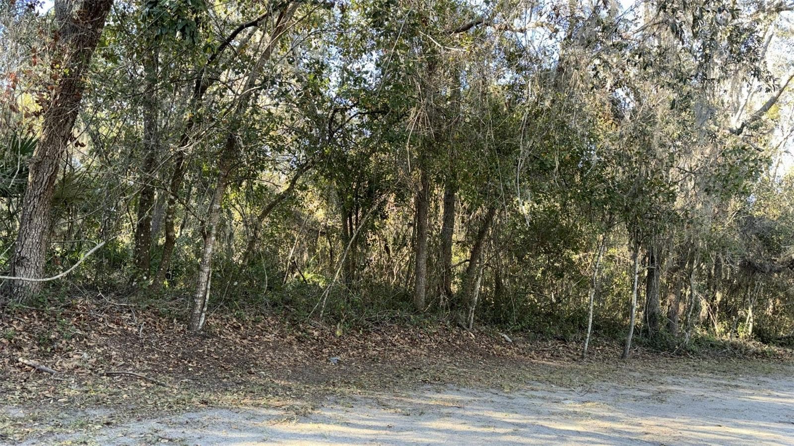 Land at 0 BOUNTY/BARRETT, NEW PORT RICHEY, photo 3 of 16