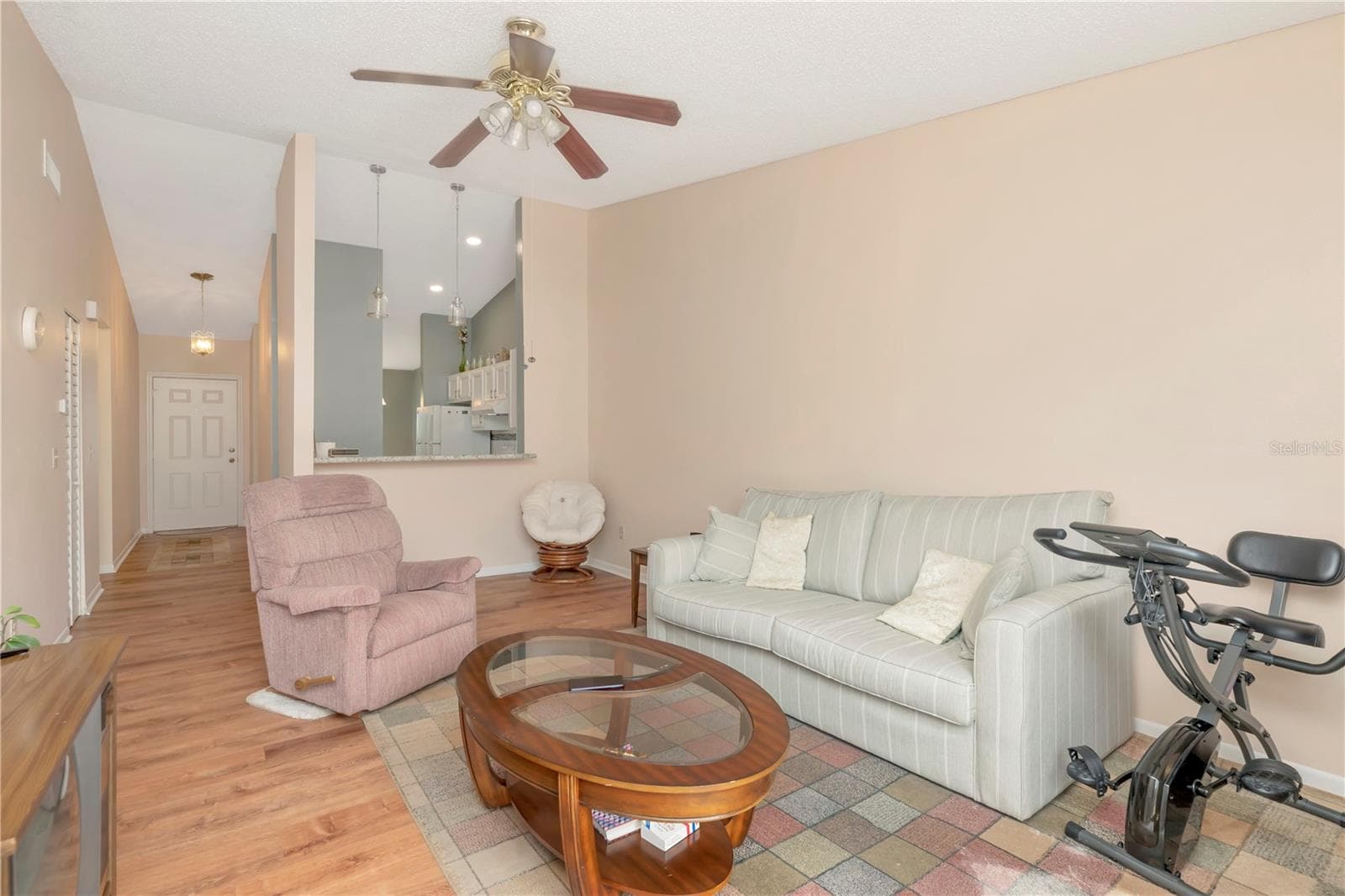 Living room - 3909 CARROLL CYPRESS CT, TAMPA