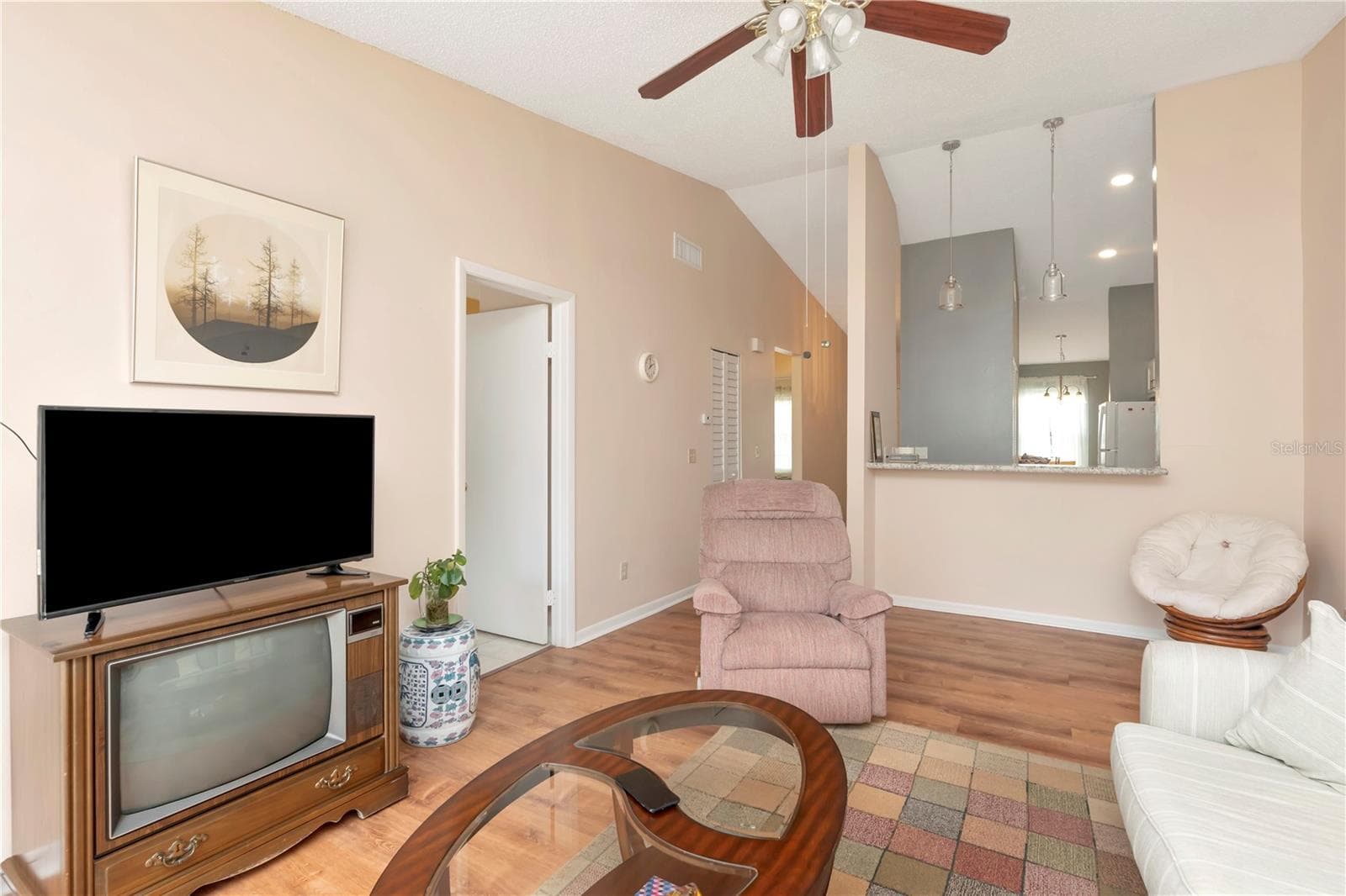 Living room - 3909 CARROLL CYPRESS CT, TAMPA