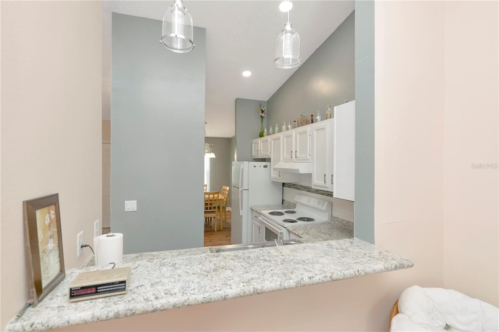 Kitchen - 3909 CARROLL CYPRESS CT, TAMPA