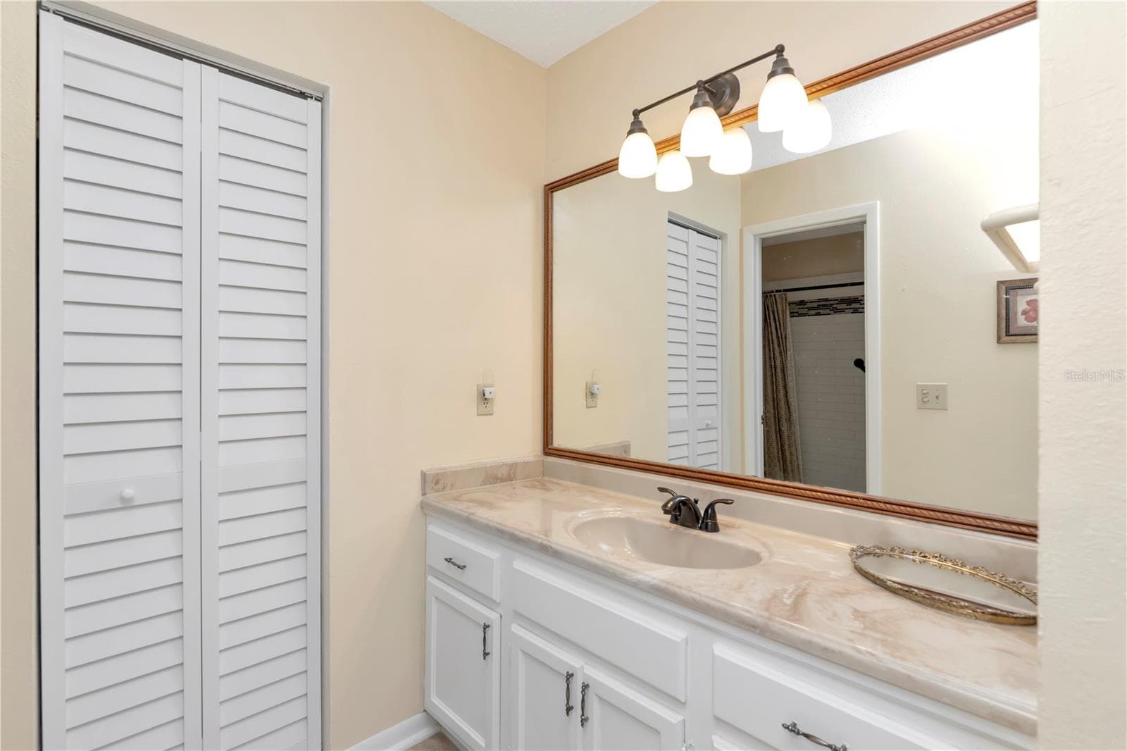 Primary bath - 3909 CARROLL CYPRESS CT, TAMPA
