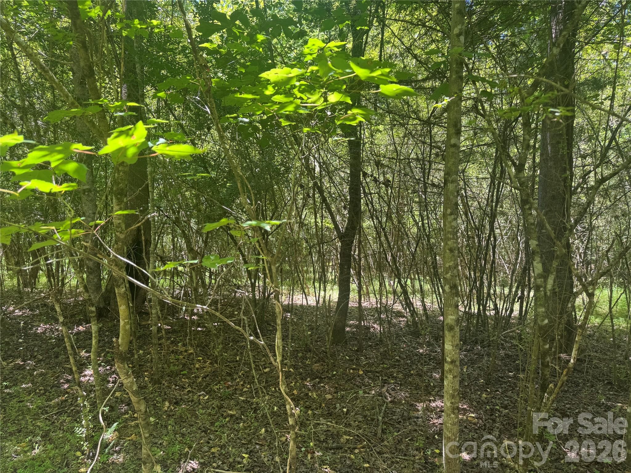 Lot at 0 Desota Ridge, Rutherfordton, photo 9 of 10
