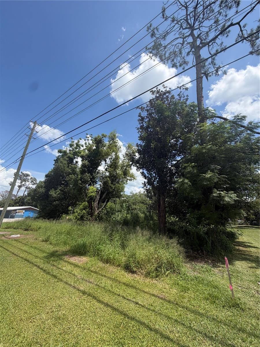 Land at 14435 OAK ST, GROVELAND, photo 3 of 9