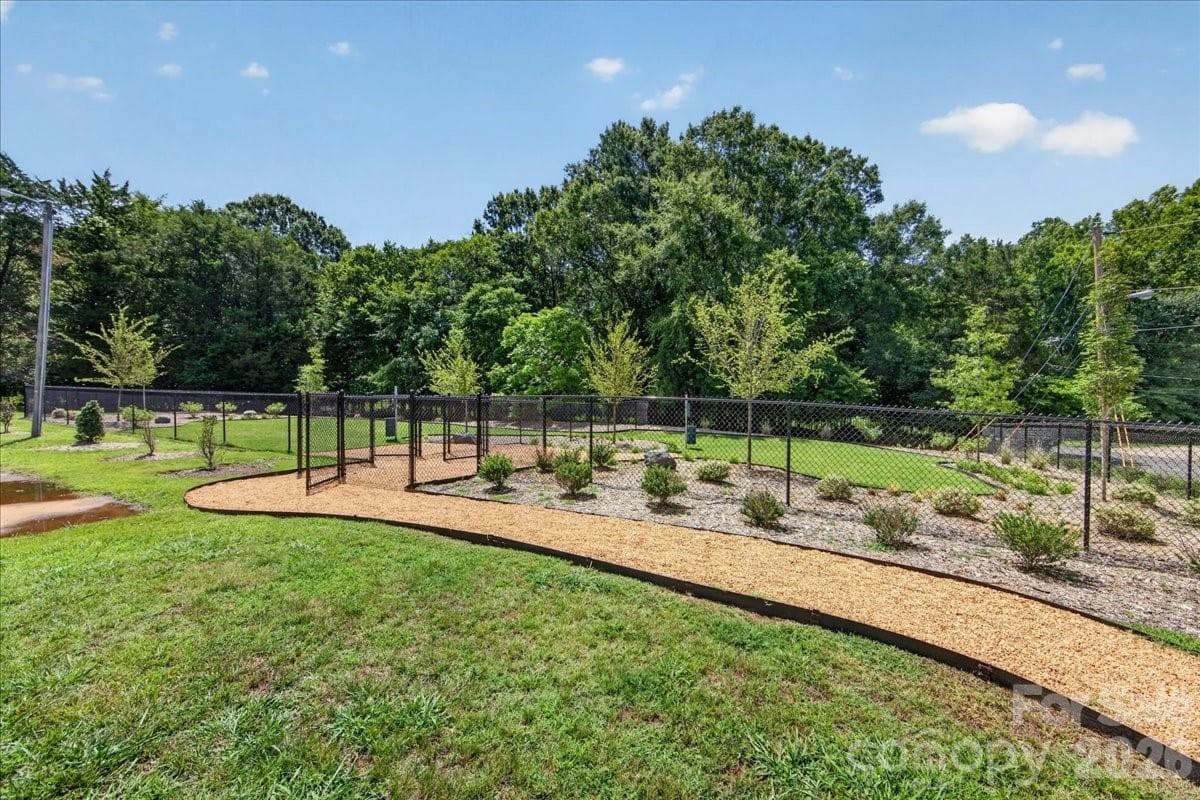 Community Dog Park - Charlotte