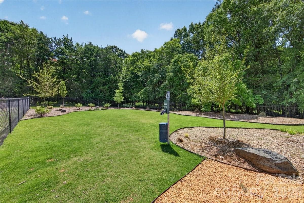 Community Dog Park - Charlotte