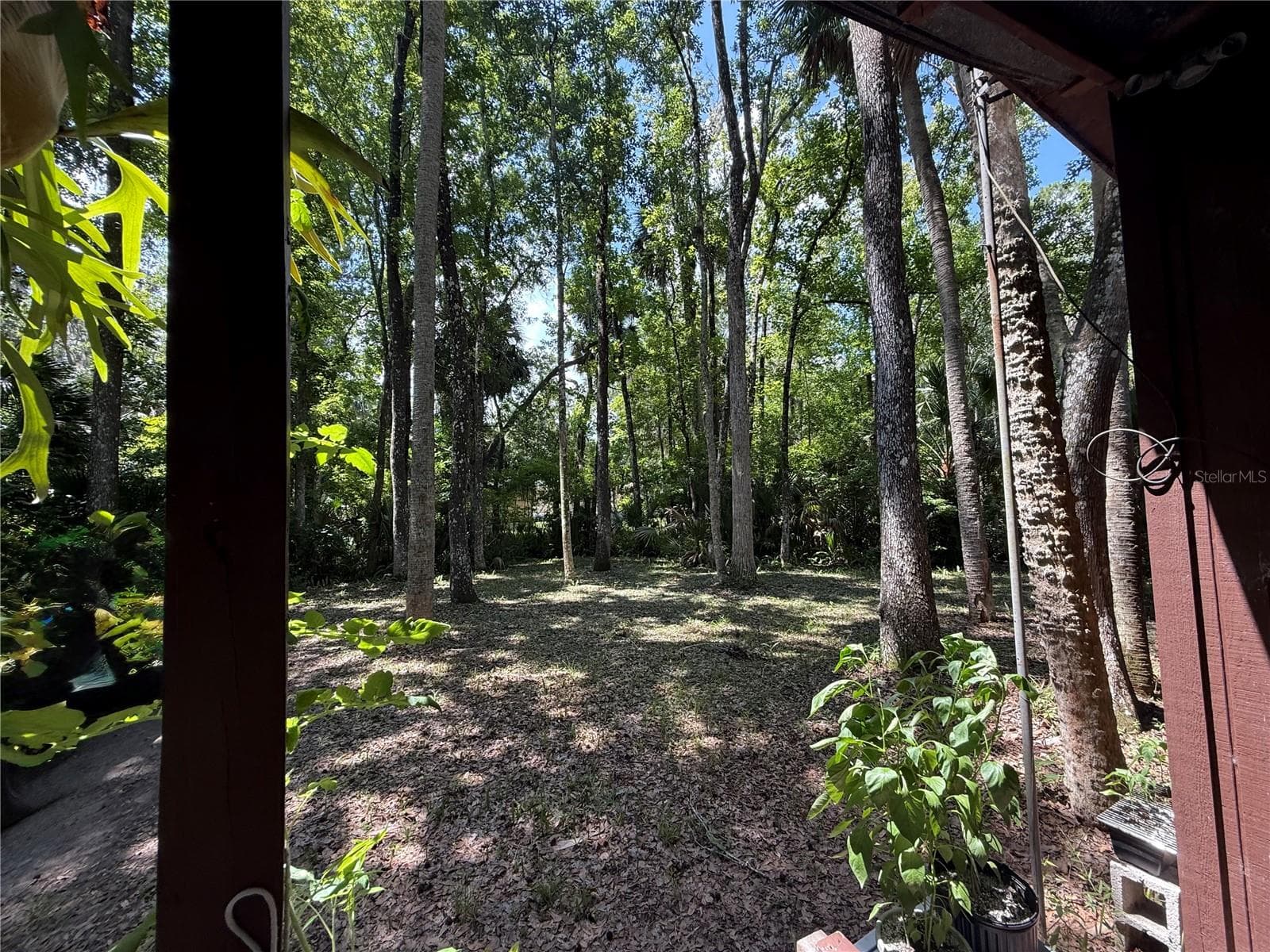 Single Family Residence at 23946 INDIGO RD, ASTOR, photo 15 of 20