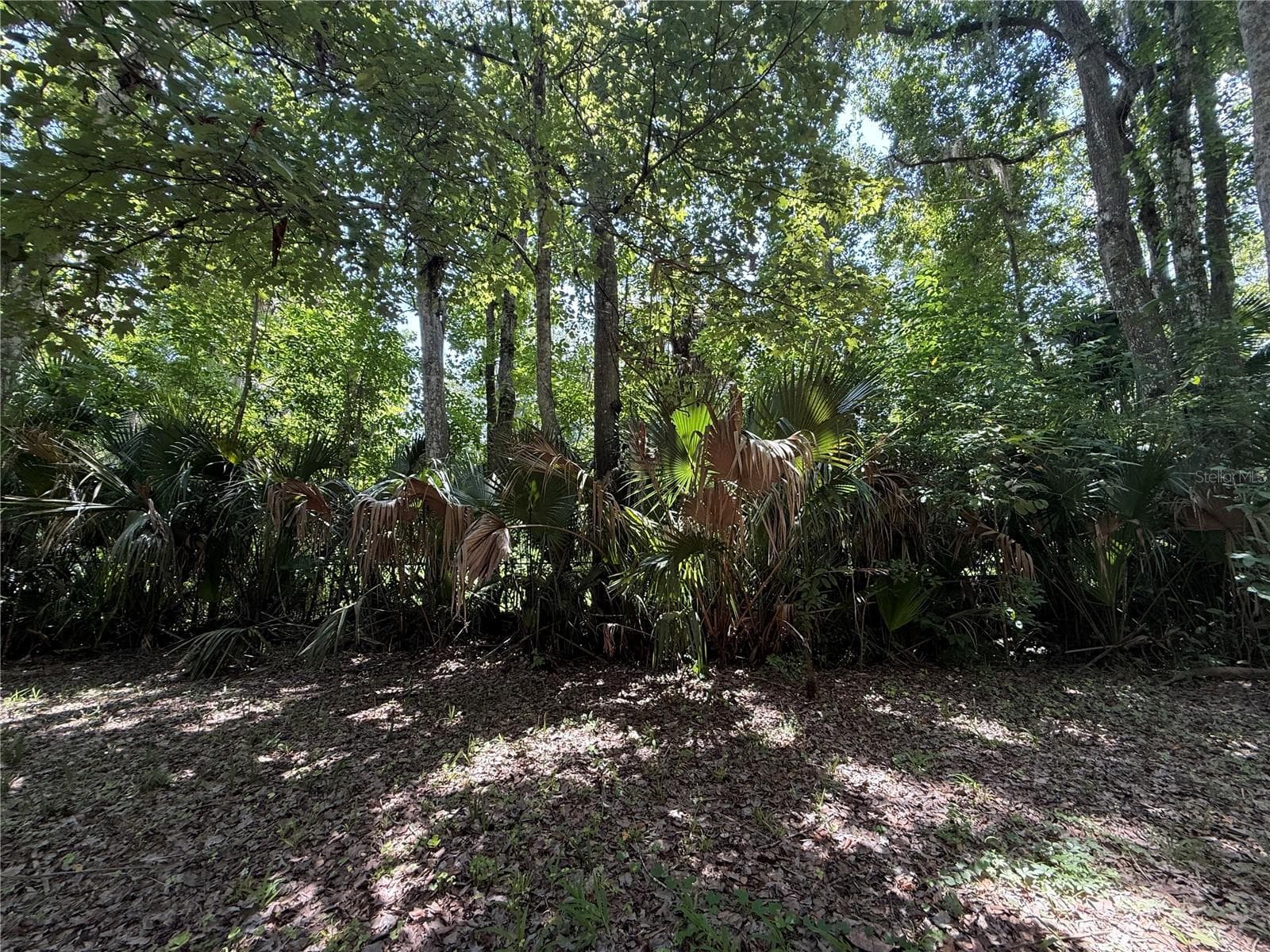 Single Family Residence at 23946 INDIGO RD, ASTOR, photo 16 of 20