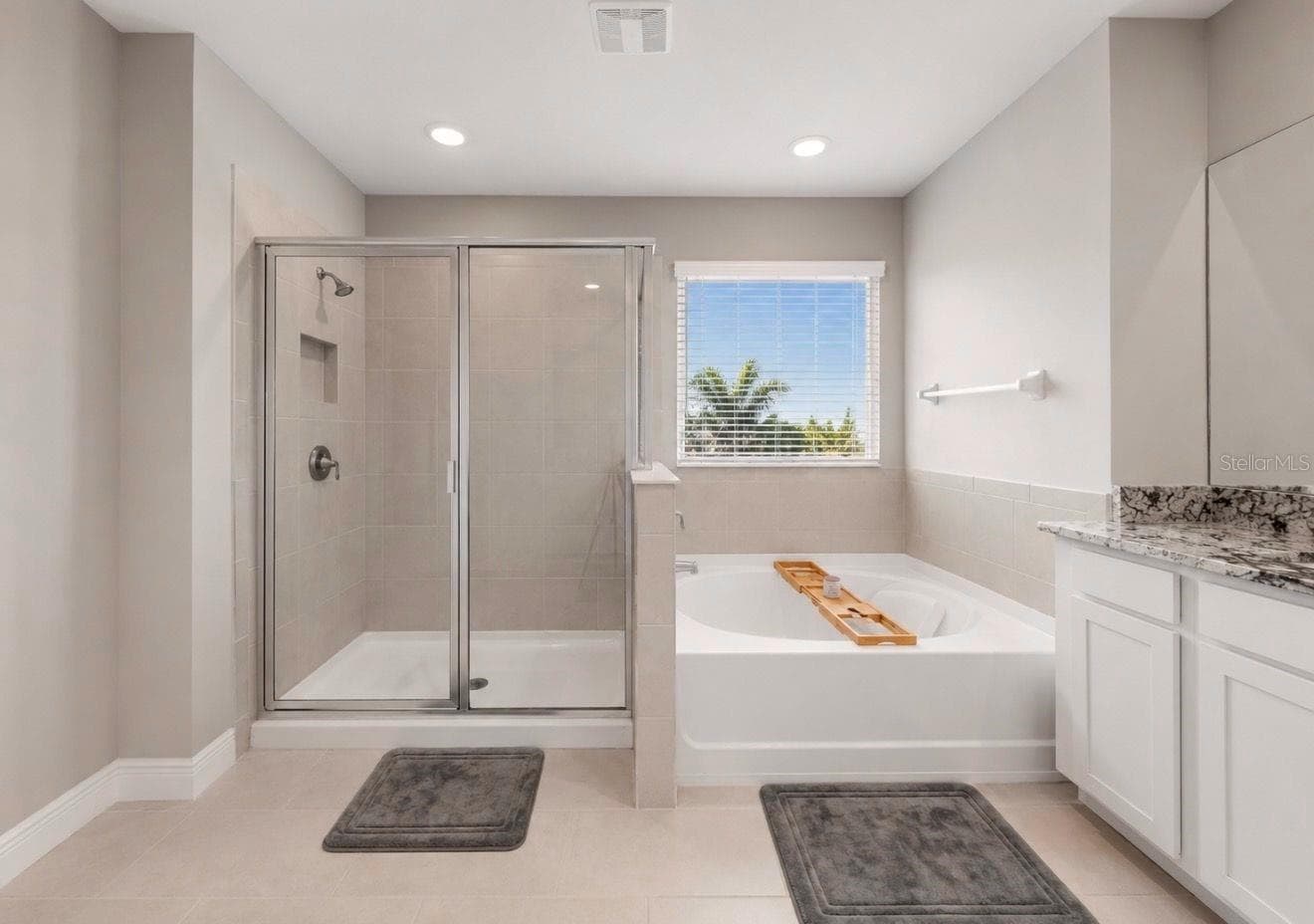 Single Family Residence at 172 MANGROVE MANOR DR, APOLLO BEACH, photo 29 of 51