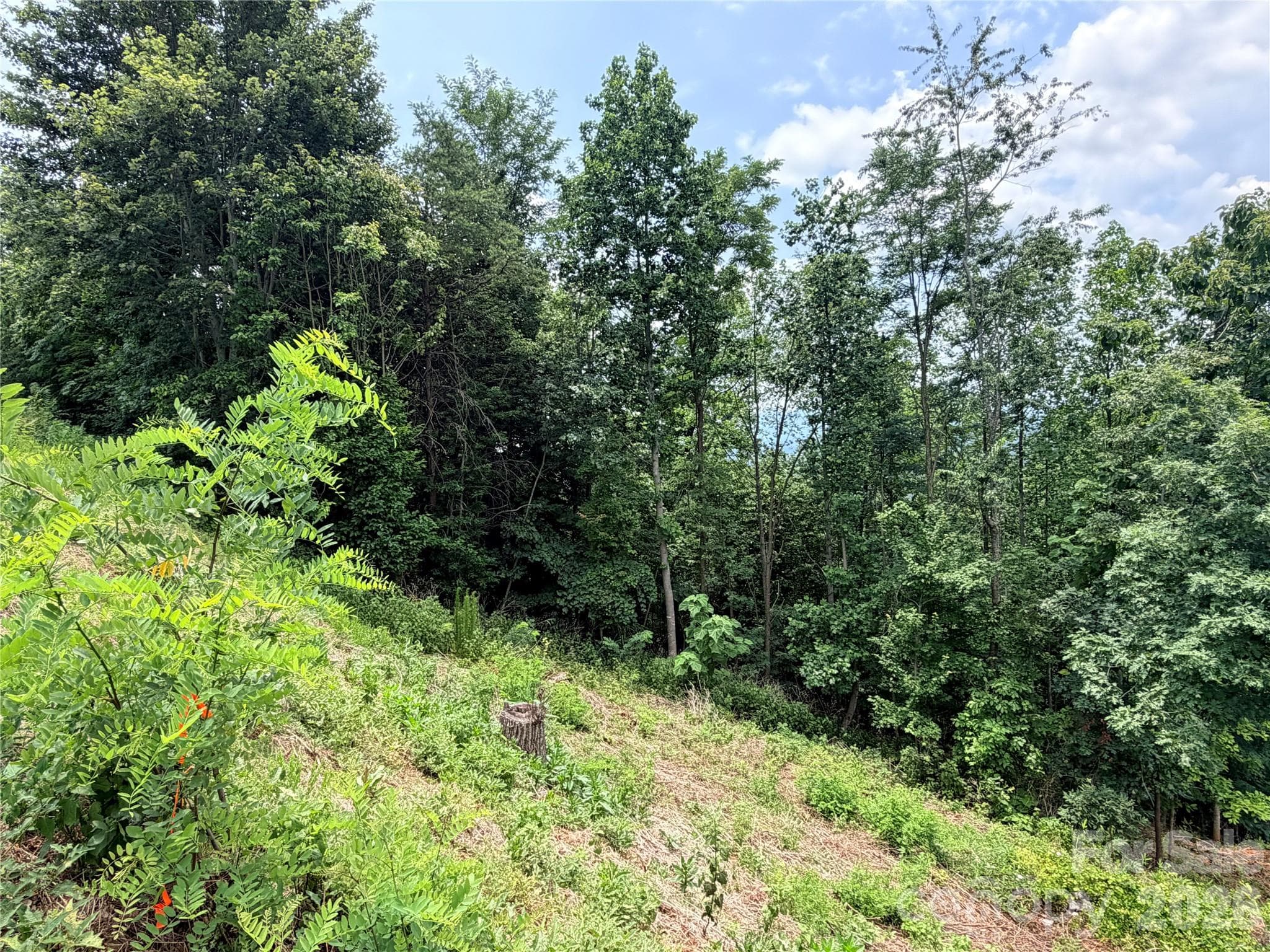 Lot at 0 Golden Ridge Drive, Lake Lure, photo 4 of 12