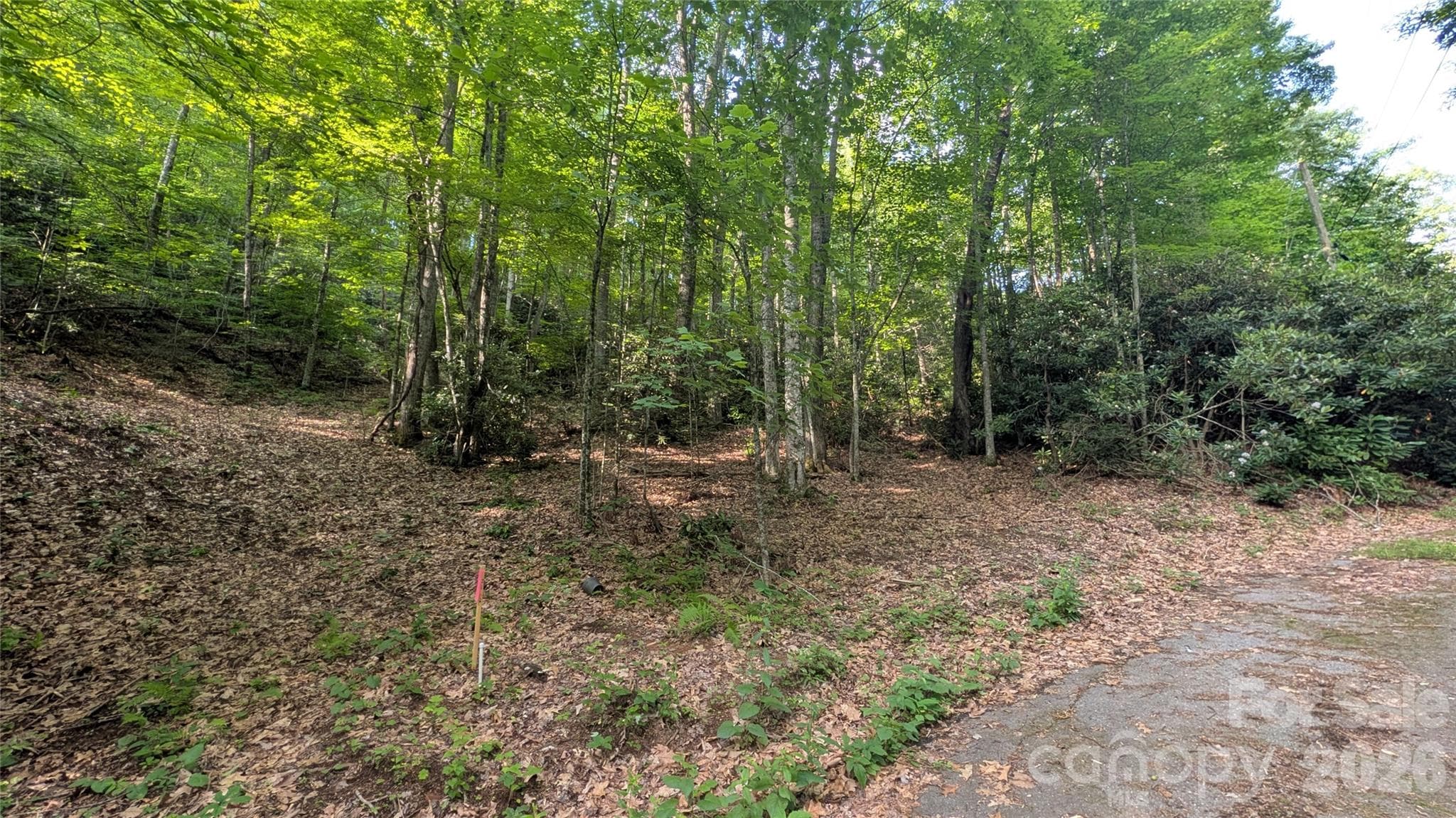 Lot at 00 Chestnut Walk, Waynesville, photo 3 of 20