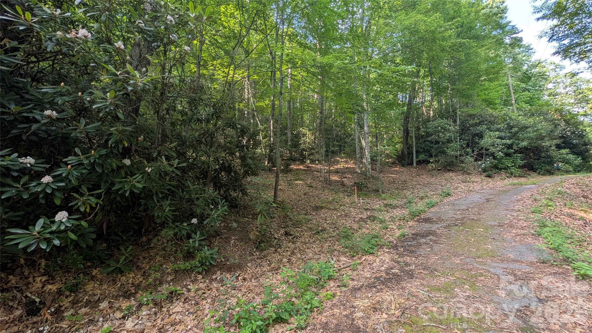 Lot at 00 Chestnut Walk, Waynesville, photo 4 of 20