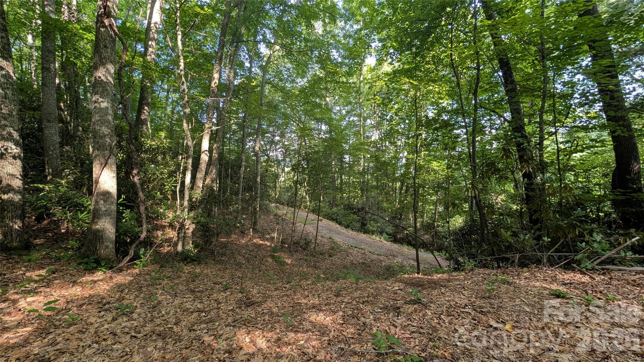 Lot at 00 Chestnut Walk, Waynesville, photo 6 of 20