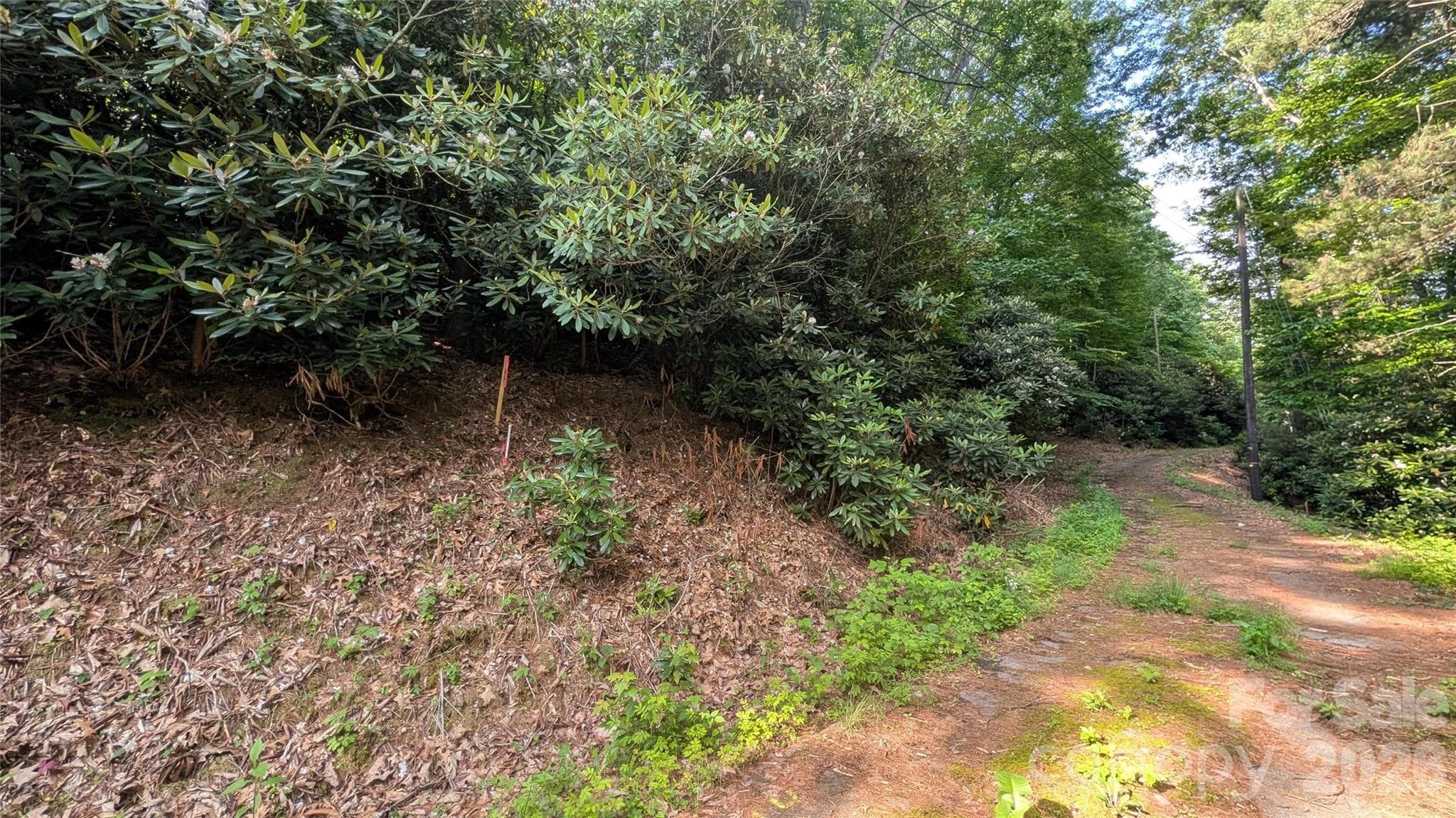 Lot at 00 Chestnut Walk, Waynesville, photo 7 of 20