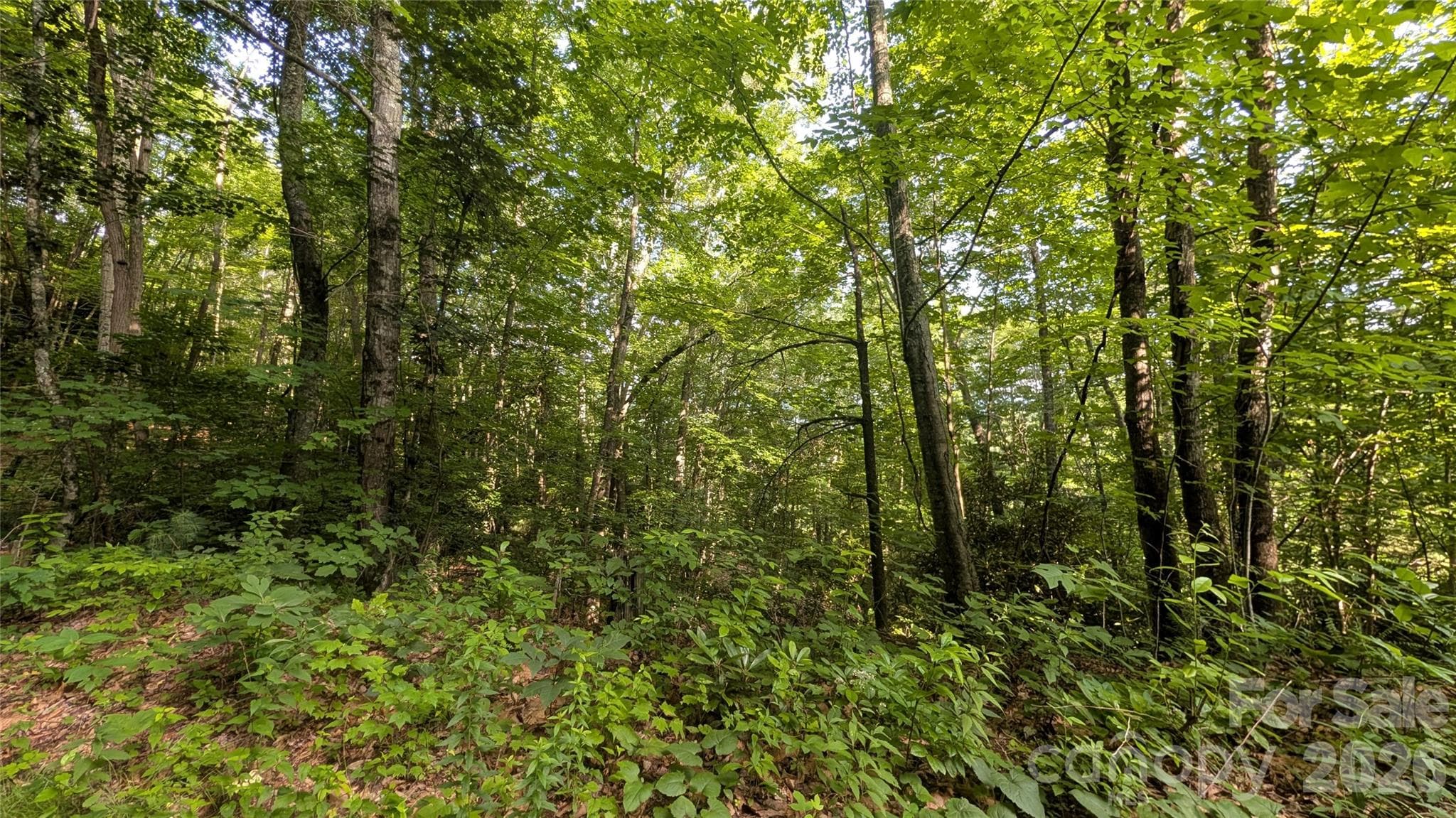 Lot at 00 Chestnut Walk, Waynesville, photo 9 of 20
