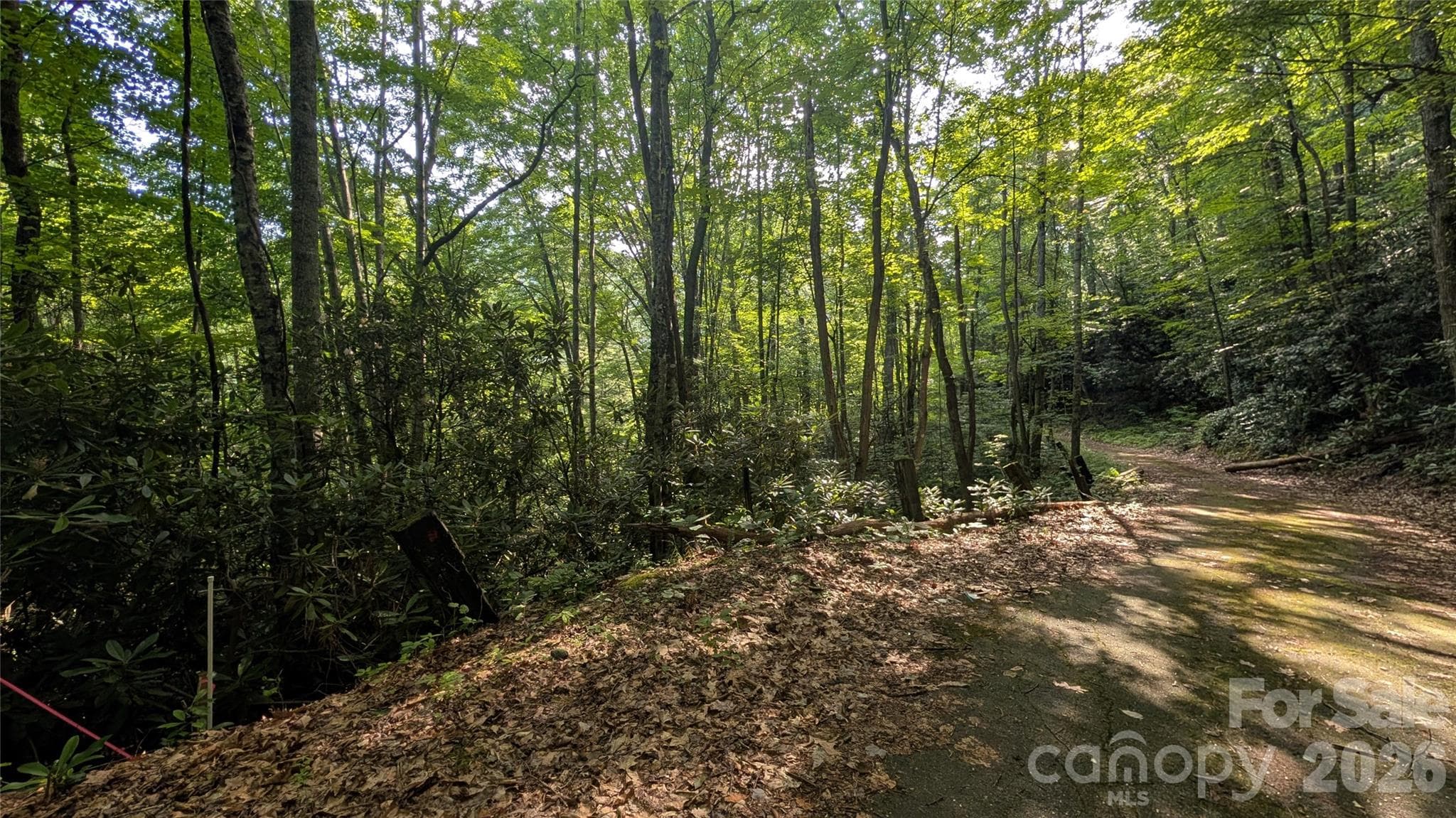 Lot at 00 Chestnut Walk, Waynesville, photo 10 of 20